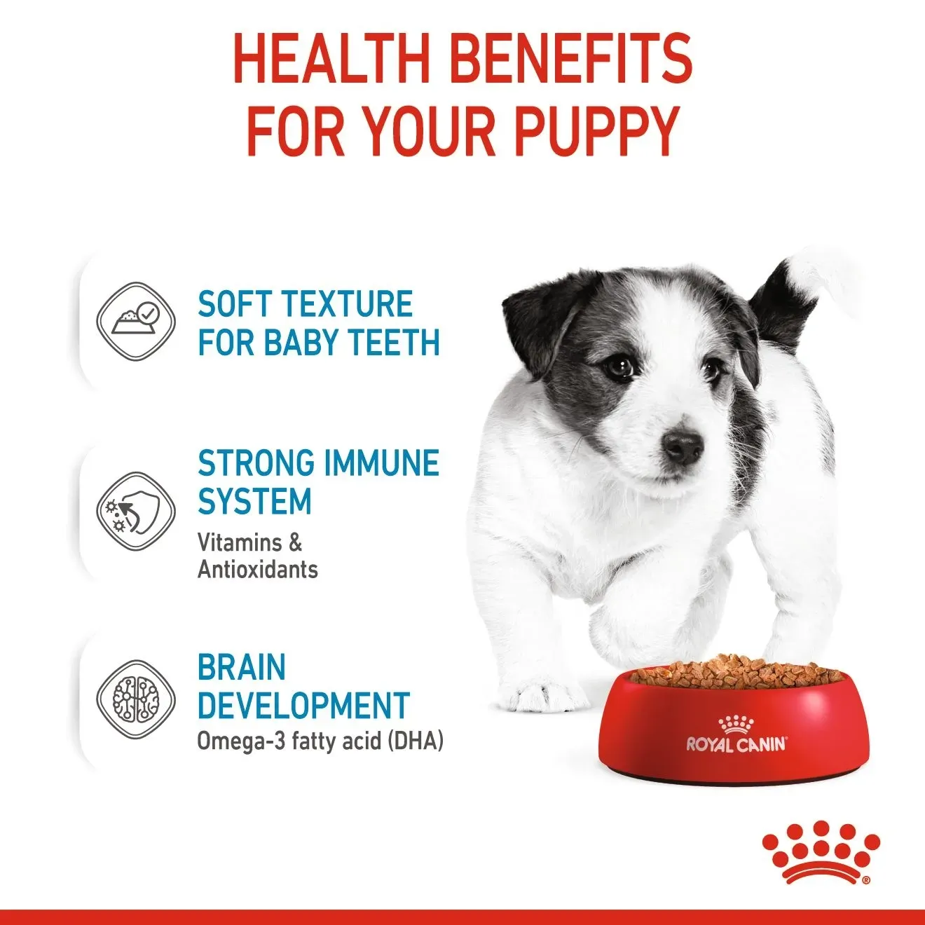 Royal Canin Pouch อาหารเปียกสุนัข สูตร Mini Puppy สำหรับลูกสุนัขพันธุ์เล็ก 85g