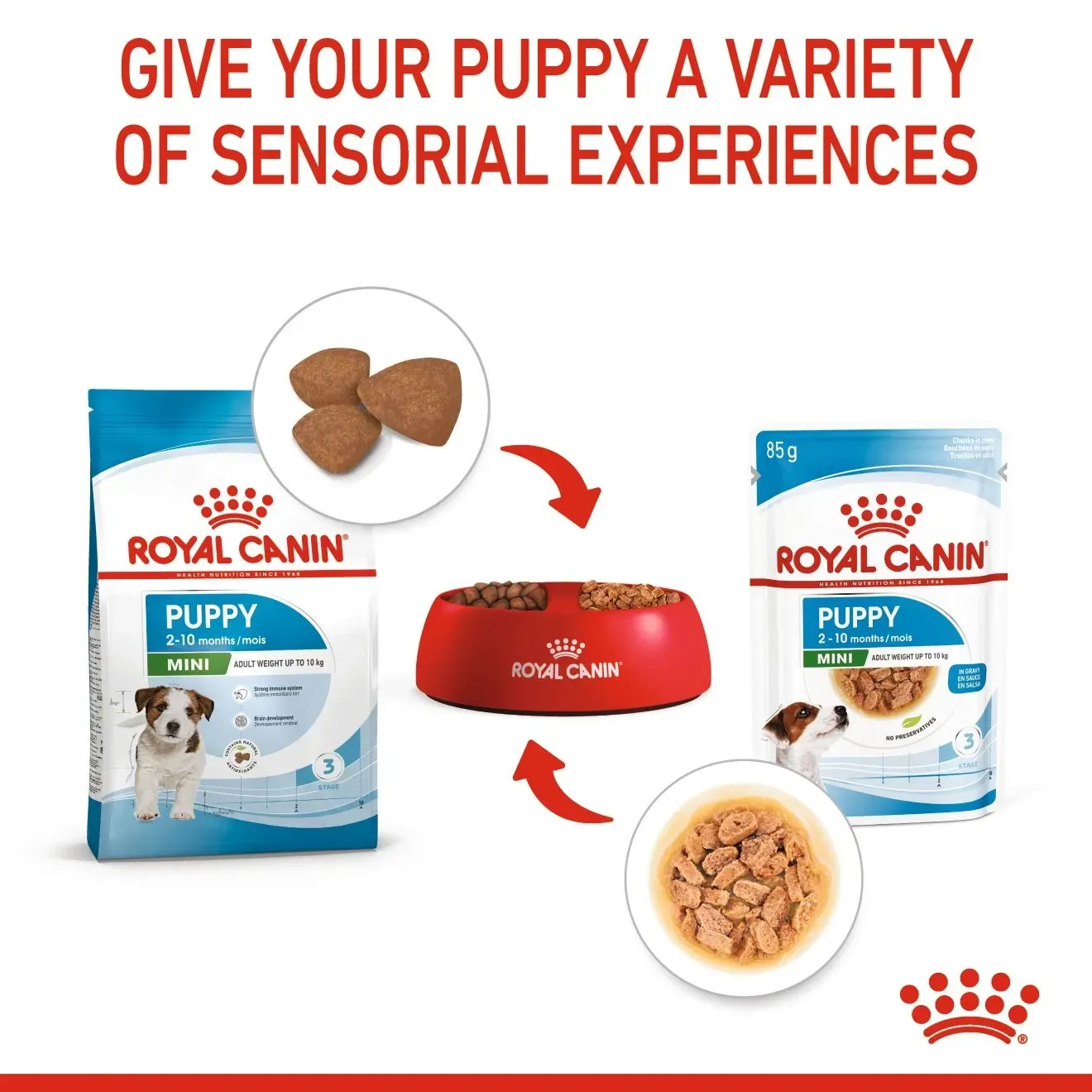 Royal Canin Pouch อาหารเปียกสุนัข สูตร Mini Puppy สำหรับลูกสุนัขพันธุ์เล็ก 85g
