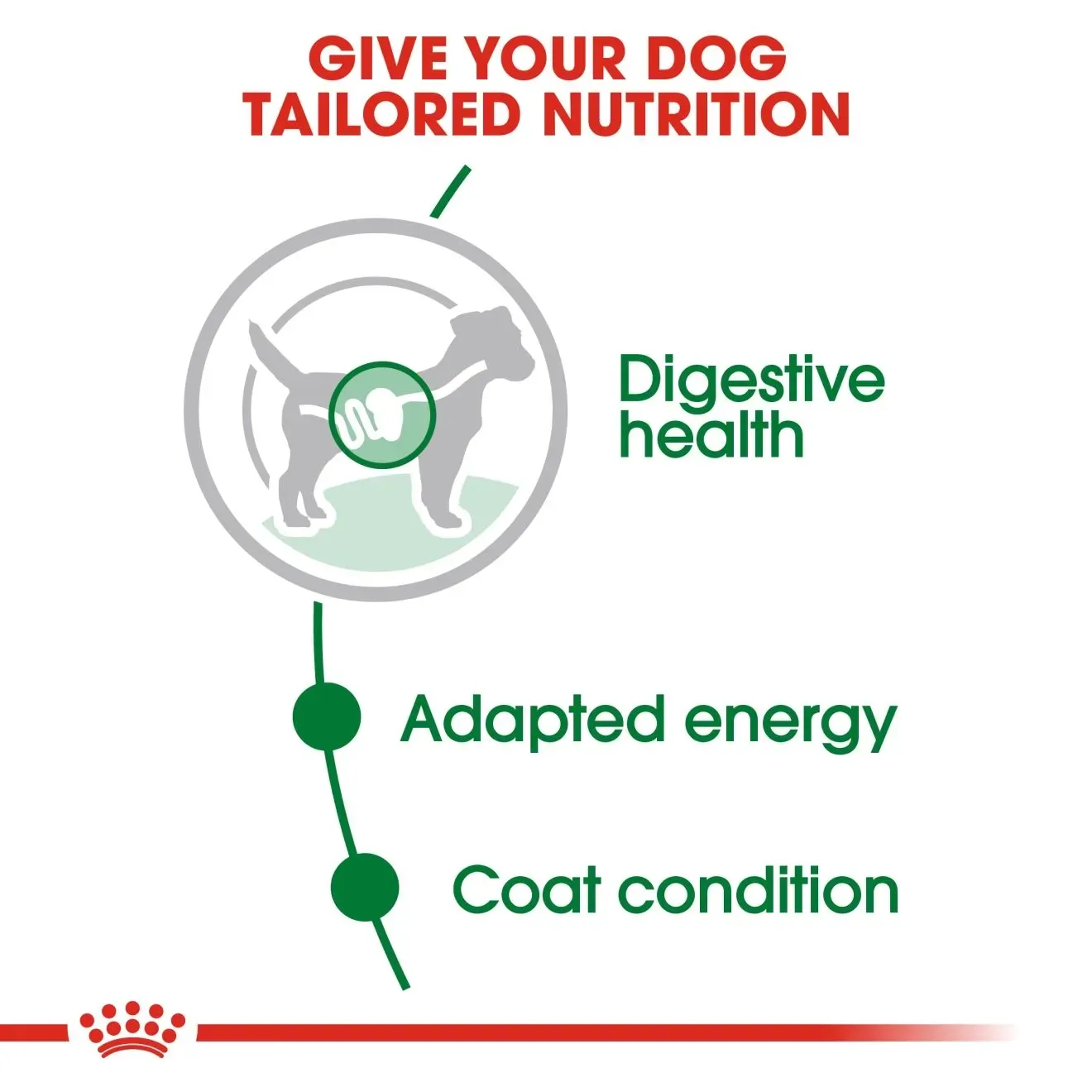 Royal Canin Pouch อาหารเปียกสุนัข สูตร Mini Adult สำหรับสุนัขโตพันธุ์เล็ก 85g