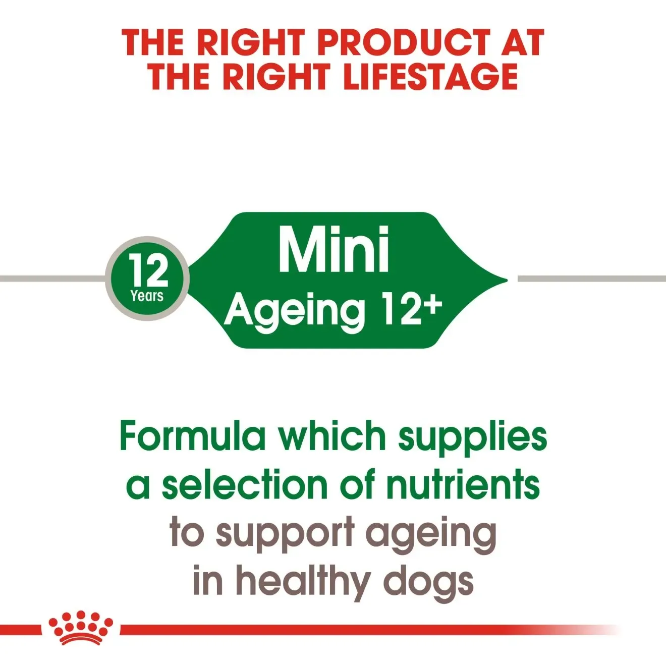 Royal Canin Pouch อาหารเปียกสุนัข สูตร Mini Ageing สำหรับสุนัขโตพันธุ์เล็กสูงวัย 85g