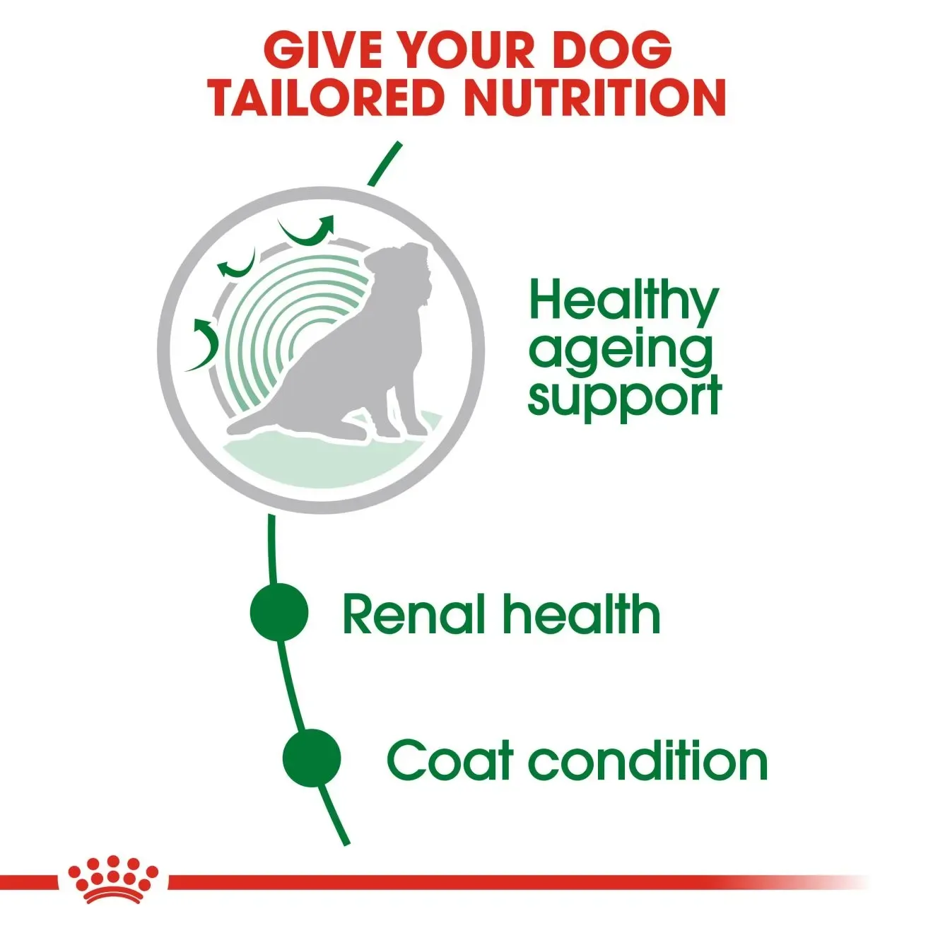 Royal Canin Pouch อาหารเปียกสุนัข สูตร Mini Ageing สำหรับสุนัขโตพันธุ์เล็กสูงวัย 85g