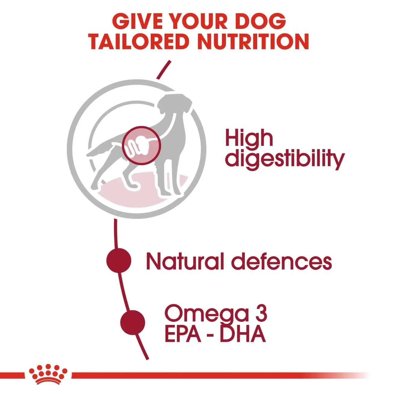 Royal Canin Pouch อาหารเปียกสุนัข สูตร Medium Adult สำหรับสุนัขโตพันธุ์กลาง 140 g
