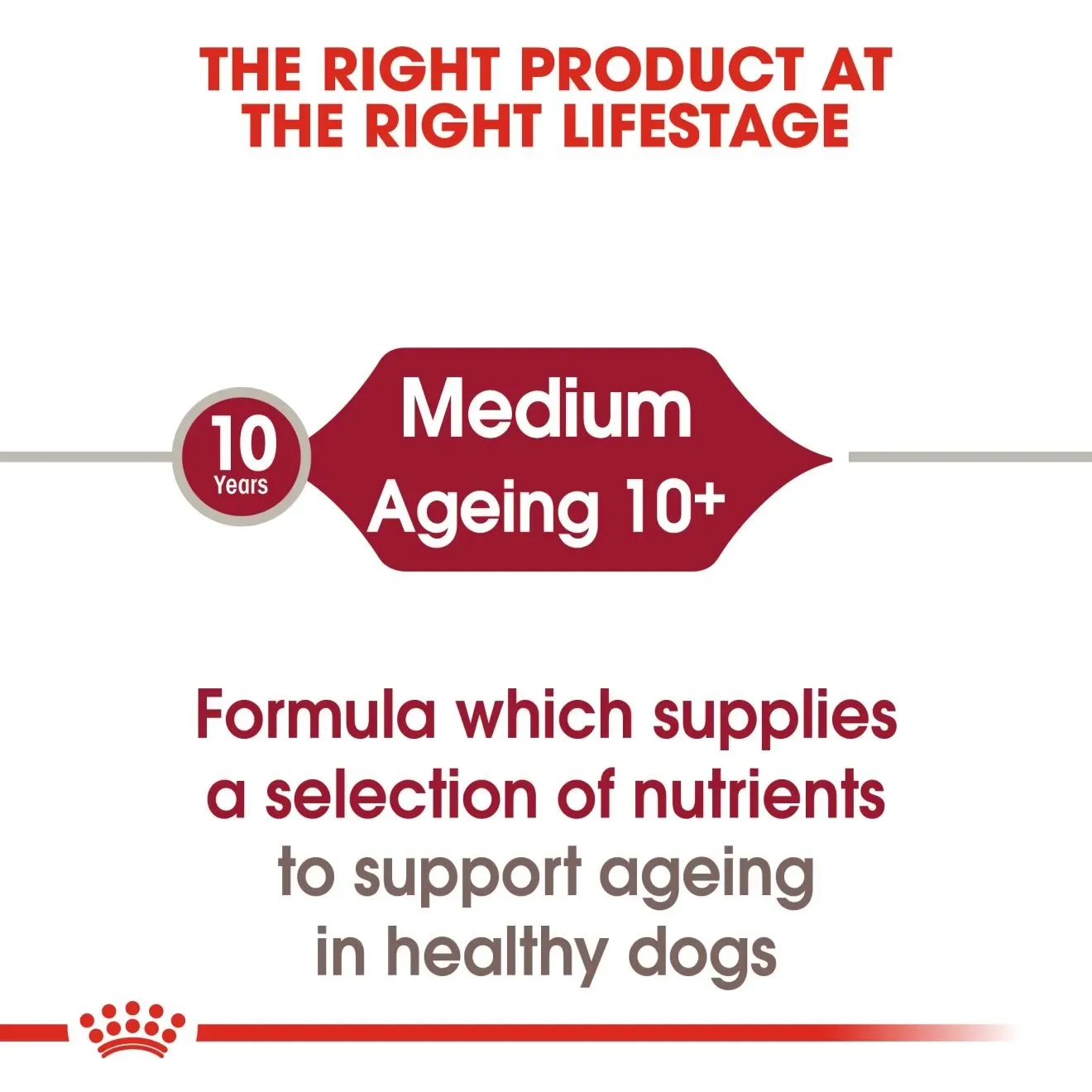 Royal Canin Pouch อาหารเปียกสุนัข สูตร Medium Ageing สำหรับสุนัขพันธุ์กลางสูงวัย 140 g