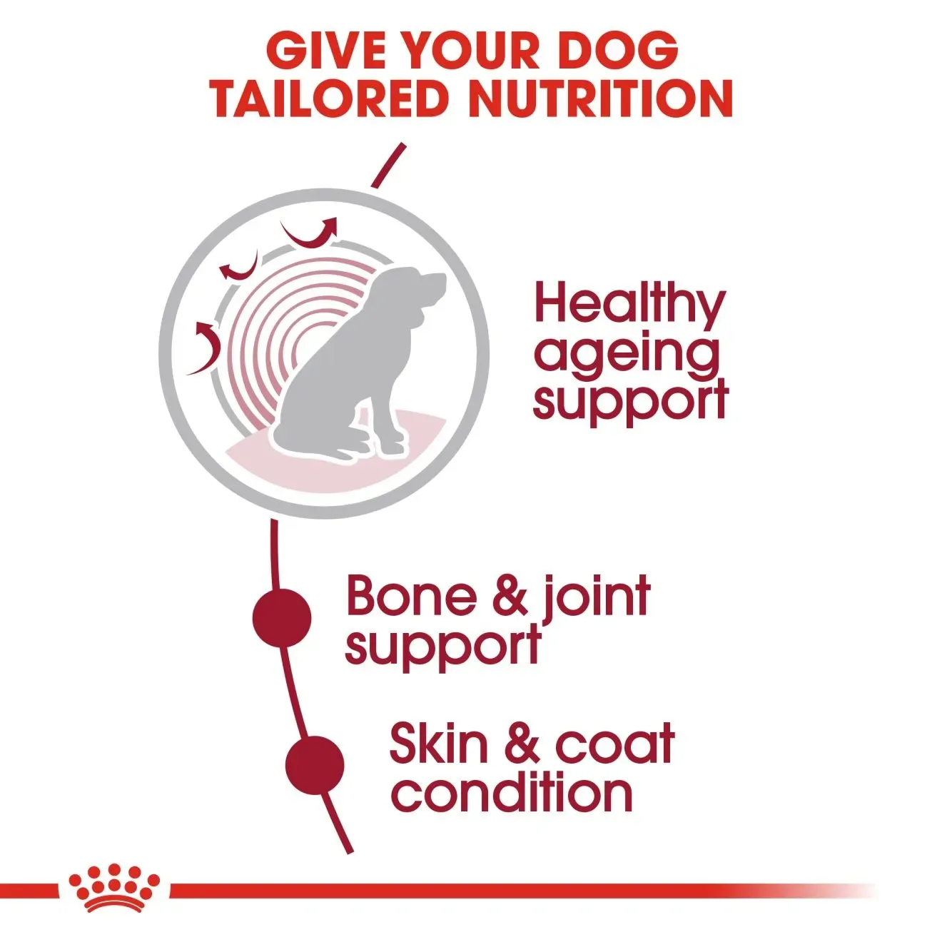 Royal Canin Pouch อาหารเปียกสุนัข สูตร Medium Ageing สำหรับสุนัขพันธุ์กลางสูงวัย 140 g