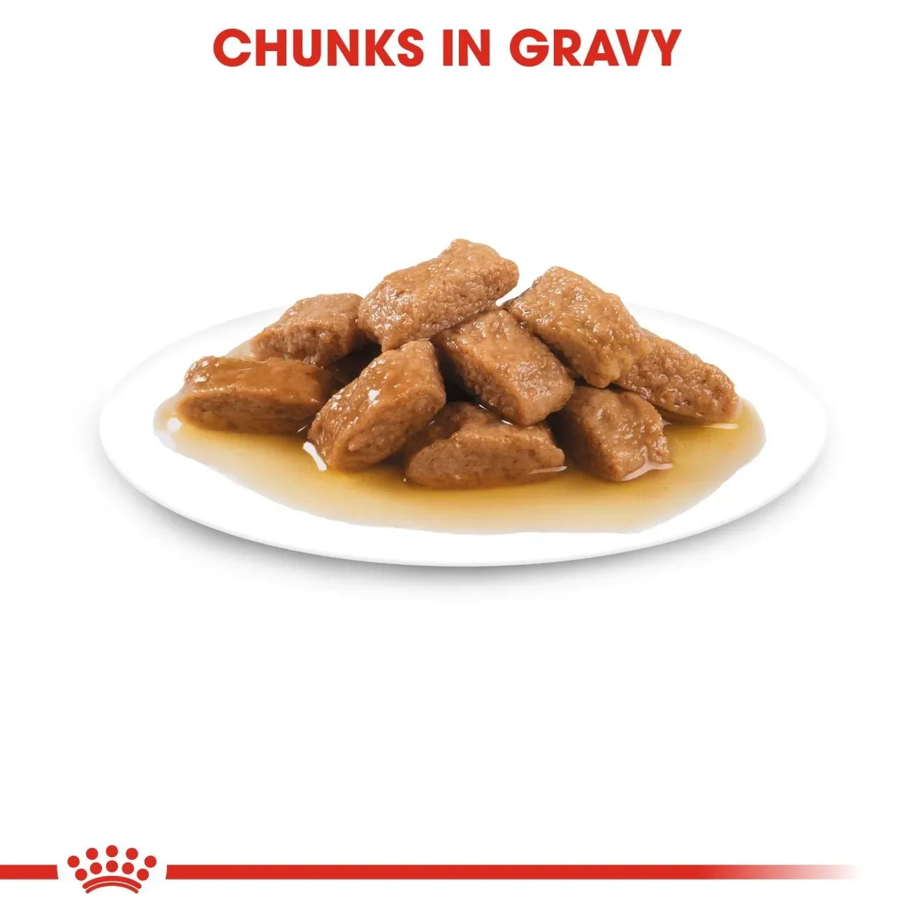 Royal Canin Pouch อาหารเปียกสุนัข สูตร Medium Ageing สำหรับสุนัขพันธุ์กลางสูงวัย 140 g