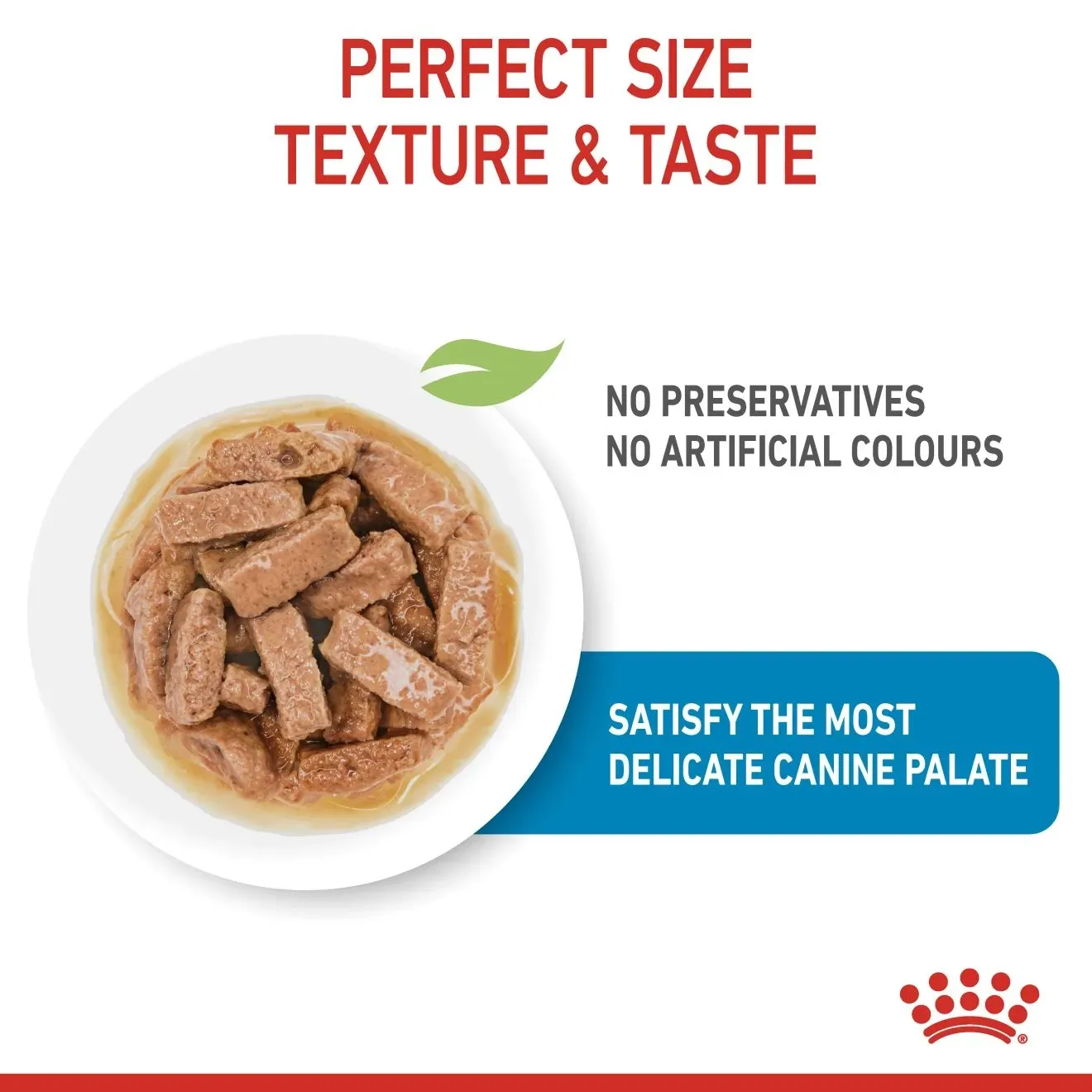 Royal Canin Pouch อาหารเปียกสุนัข สูตร Maxi Puppy สำหรับลูกสุนัขพันธุ์ใหญ่ 140 g