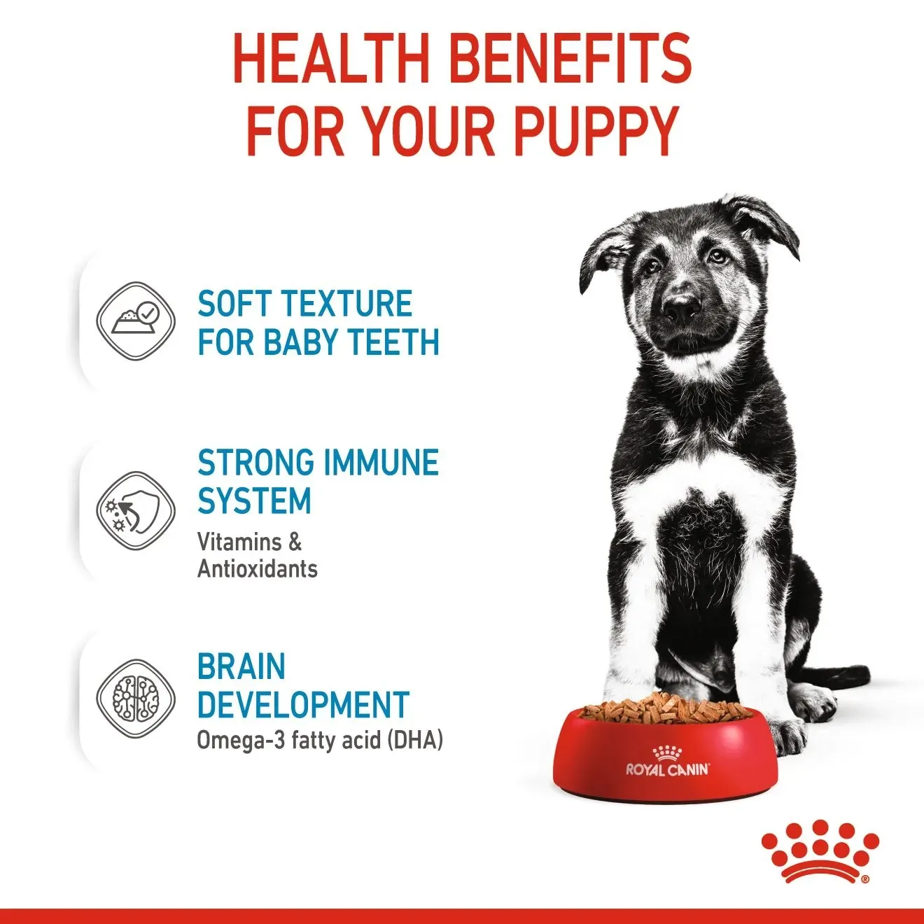 Royal Canin Pouch อาหารเปียกสุนัข สูตร Maxi Puppy สำหรับลูกสุนัขพันธุ์ใหญ่ 140 g