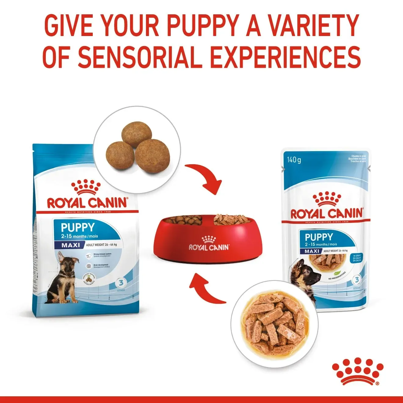 Royal Canin Pouch อาหารเปียกสุนัข สูตร Maxi Puppy สำหรับลูกสุนัขพันธุ์ใหญ่ 140 g