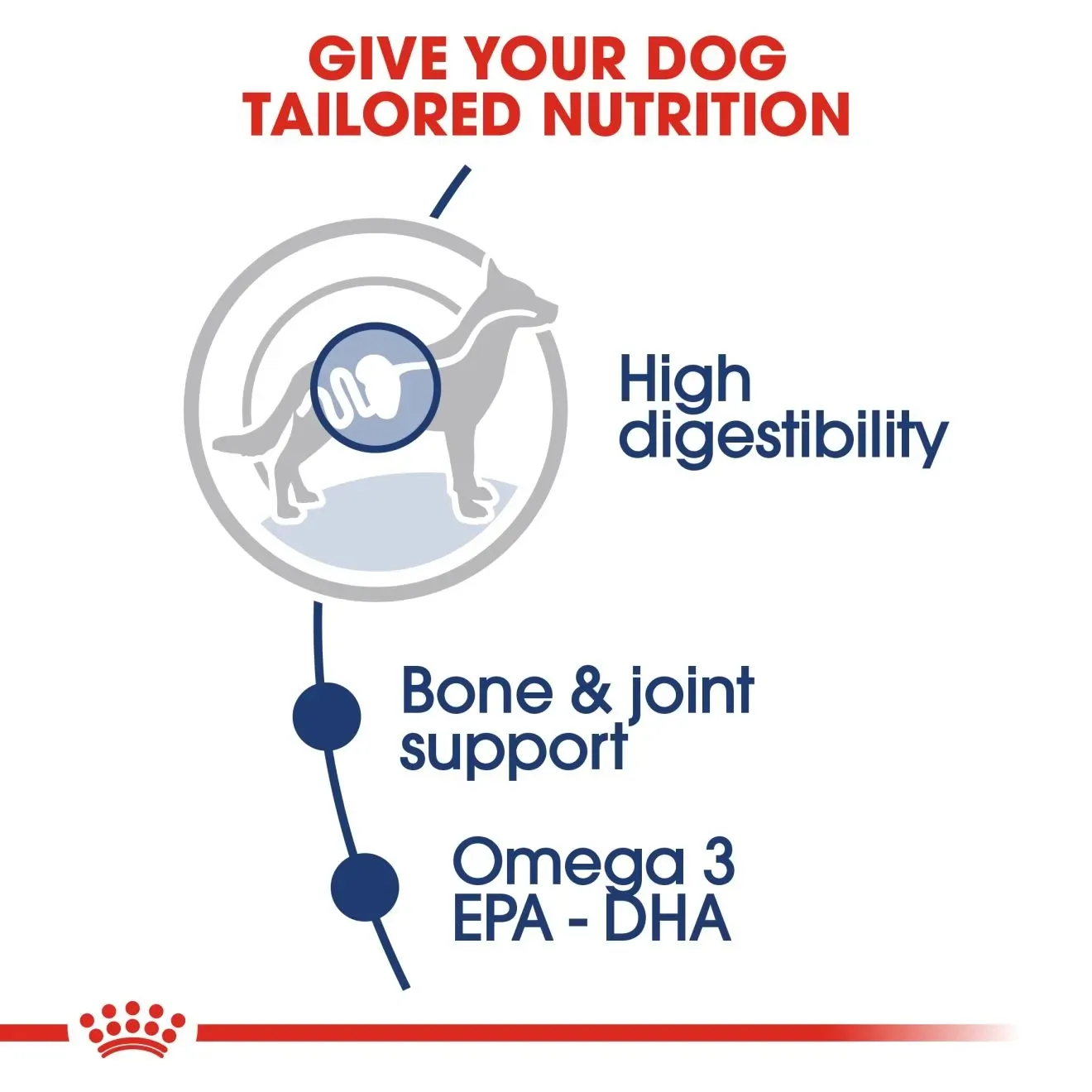 Royal Canin Pouch อาหารเปียกสุนัข สูตร Maxi Adult สำหรับสุนัขโตพันธุ์ใหญ่ 140 g