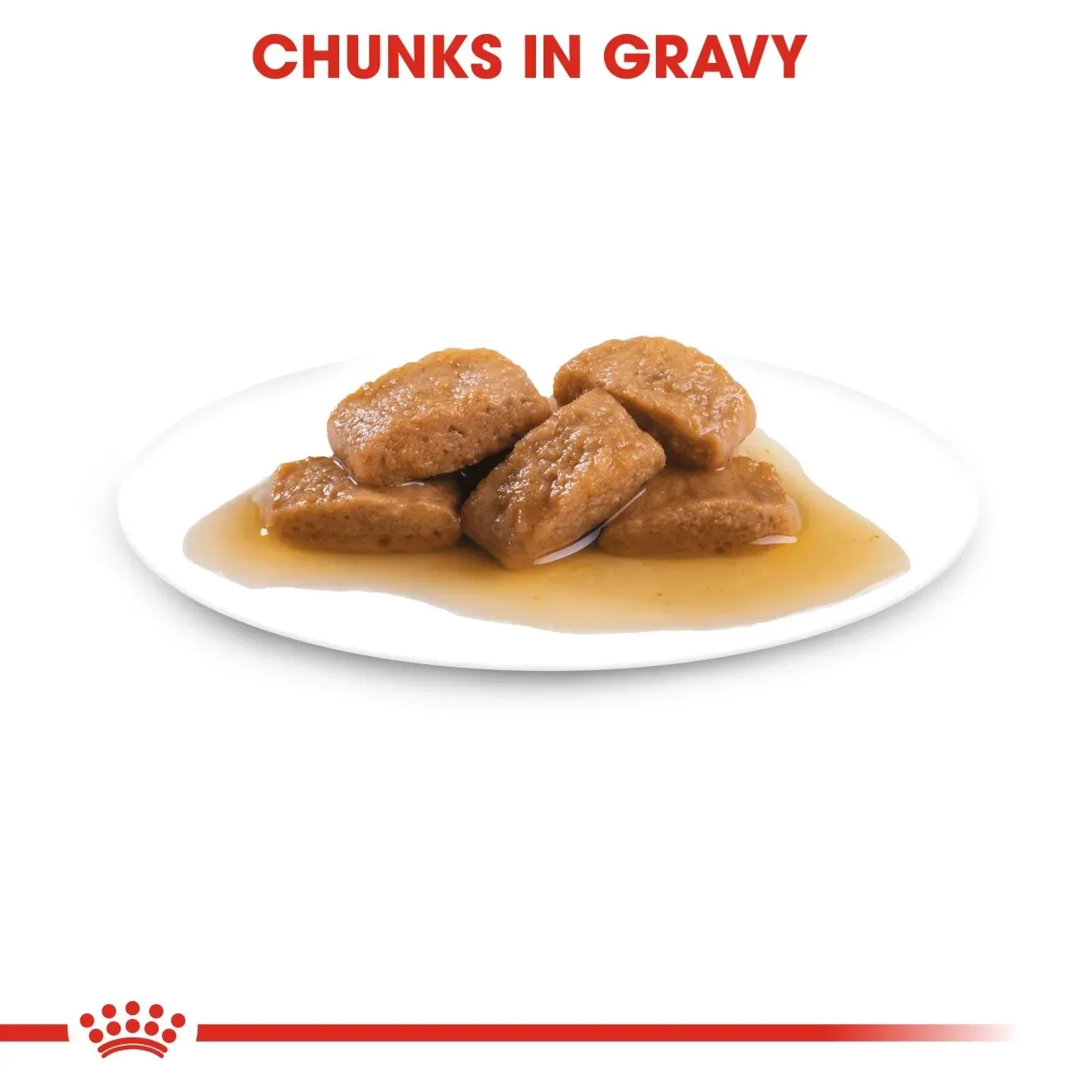 Royal Canin Pouch อาหารเปียกสุนัข สูตร Maxi Adult สำหรับสุนัขโตพันธุ์ใหญ่ 140 g