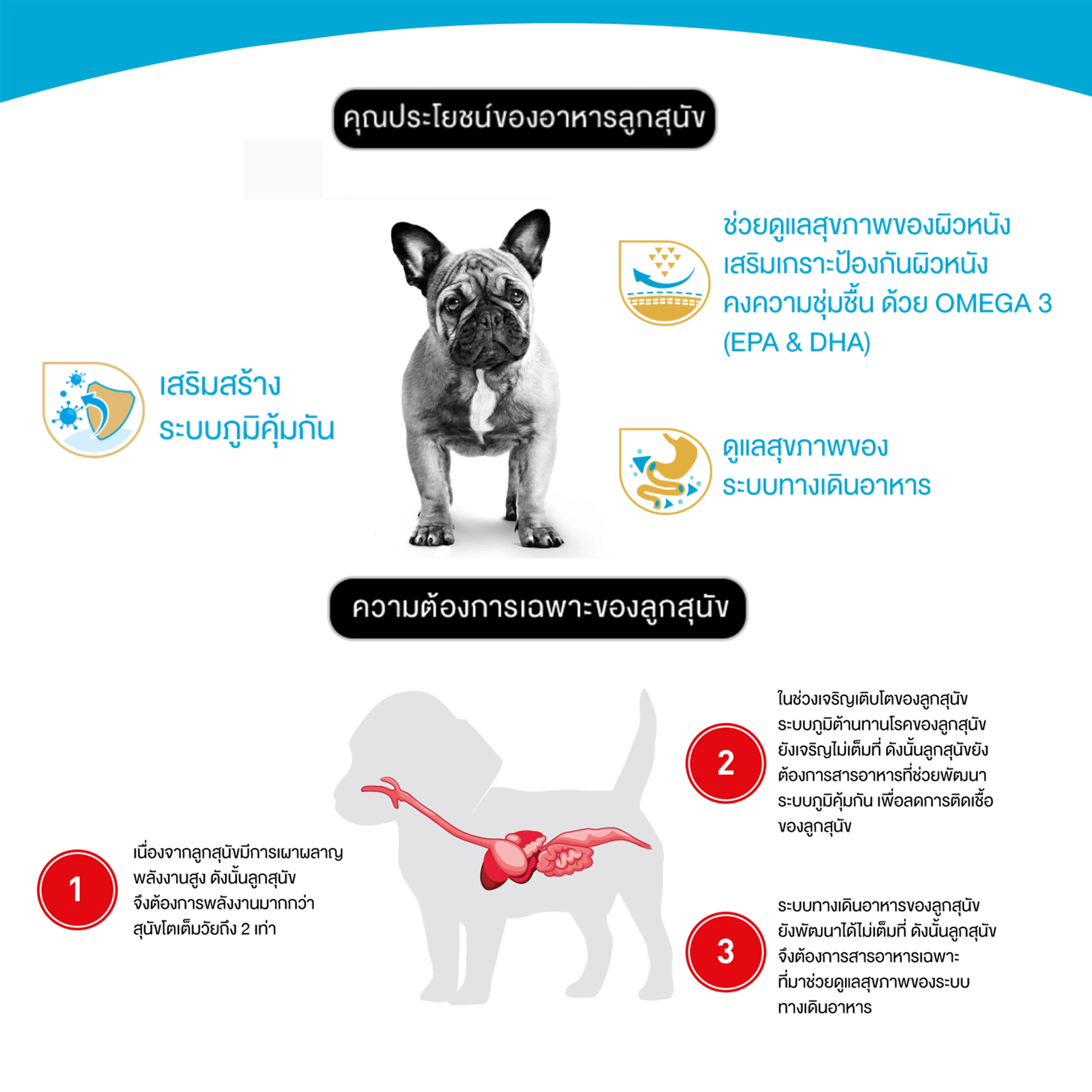 Royal Canin French Bulldog Puppy อาหารเม็ดสำหรับลูกสุนัขเฟรนช์ บูลด็อก