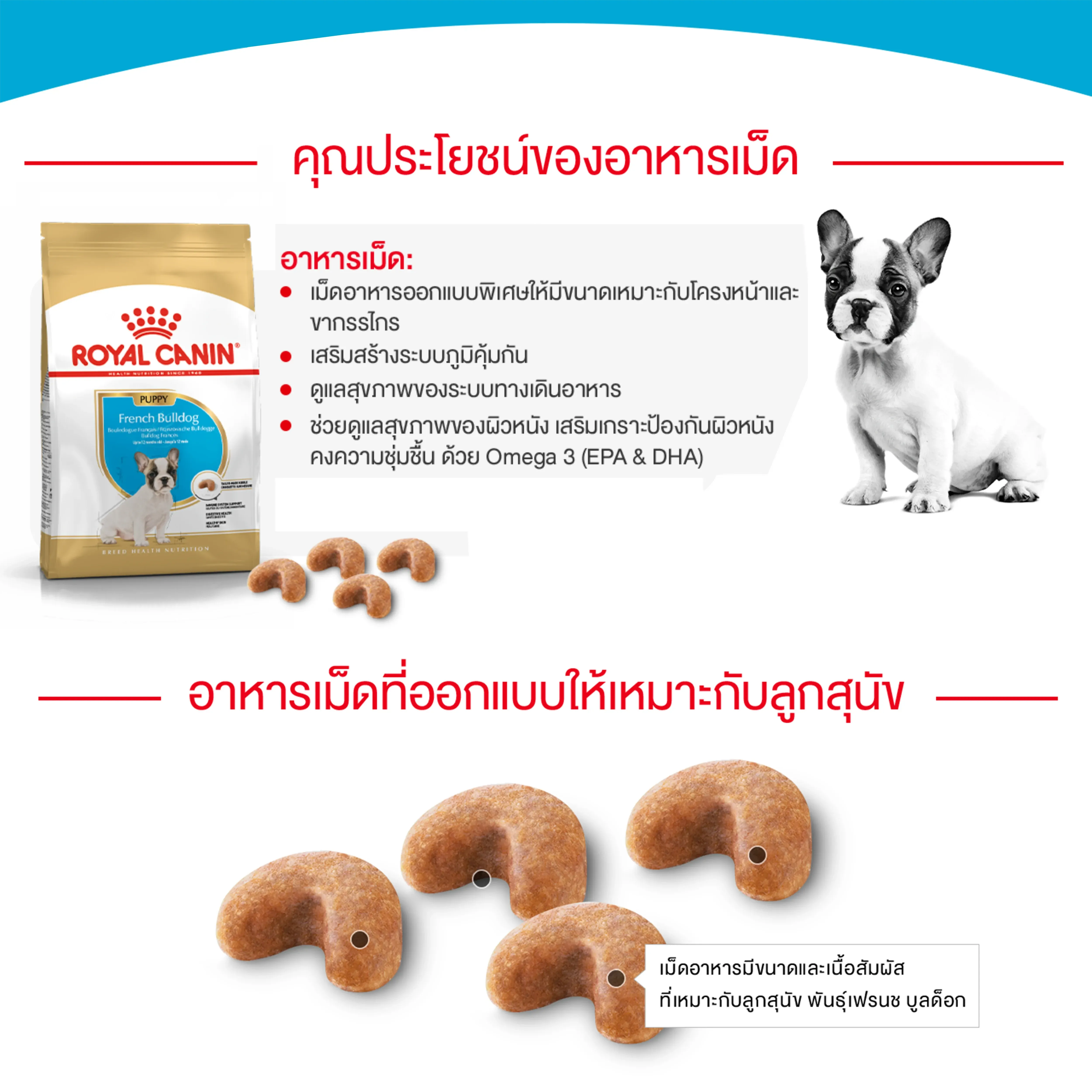 Royal Canin French Bulldog Puppy อาหารเม็ดสำหรับลูกสุนัขเฟรนช์ บูลด็อก