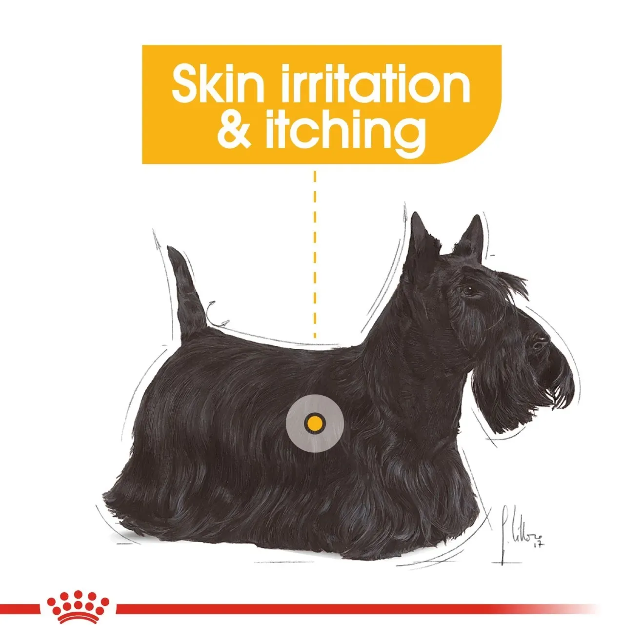 Royal Canin Pouch อาหารเปียกสุนัข สูตร Dermacomfort (ผิวแพ้ง่ายทุกสายพันธุ์) 85 g