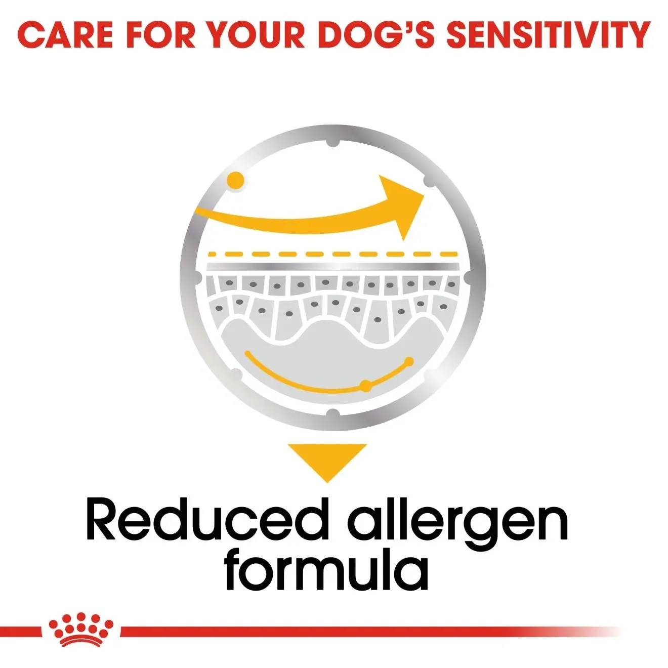 Royal Canin Pouch อาหารเปียกสุนัข สูตร Dermacomfort (ผิวแพ้ง่ายทุกสายพันธุ์) 85 g