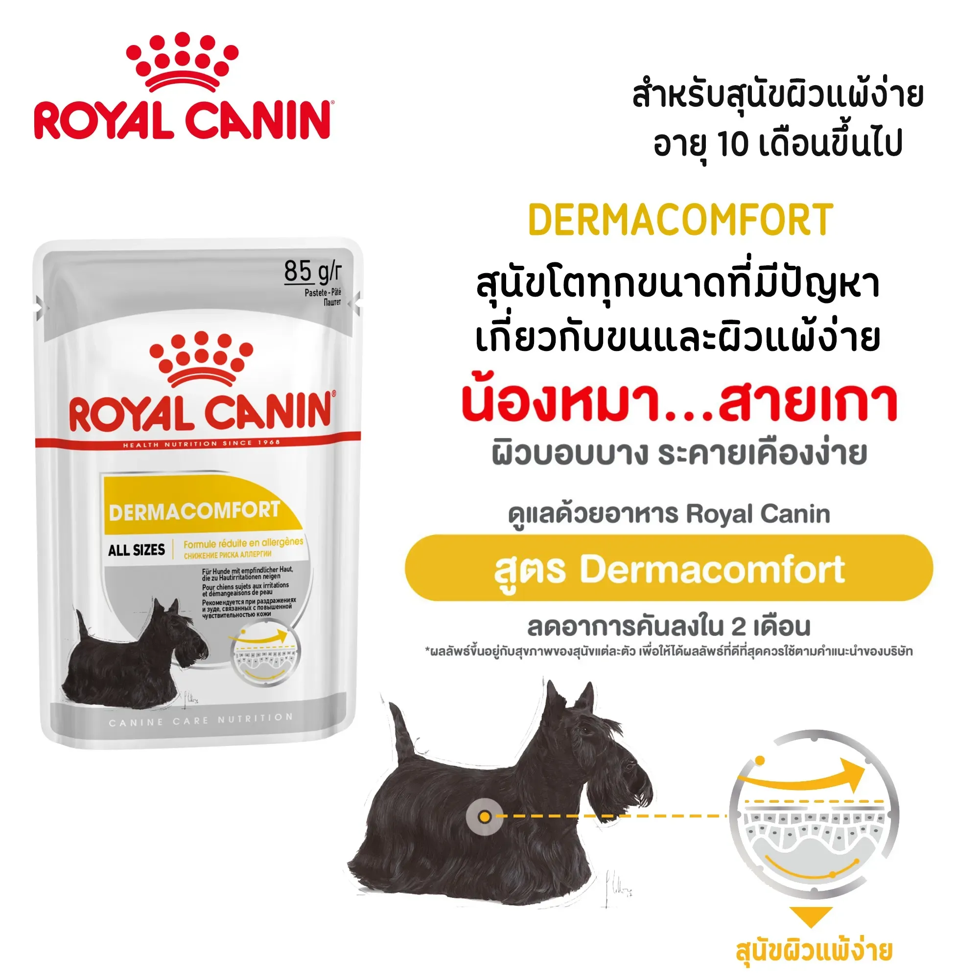 Royal Canin Pouch อาหารเปียกสุนัข สูตร Dermacomfort (ผิวแพ้ง่ายทุกสายพันธุ์) 85 g
