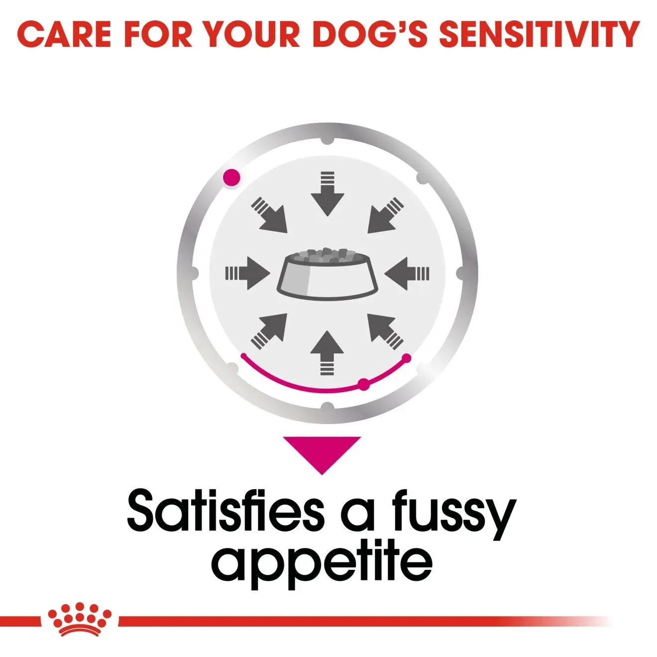 Royal Canin Pouch อาหารเปียกสุนัข สูตร Exigent Loaf (ทานยาก ช่างเลือก) 85 g