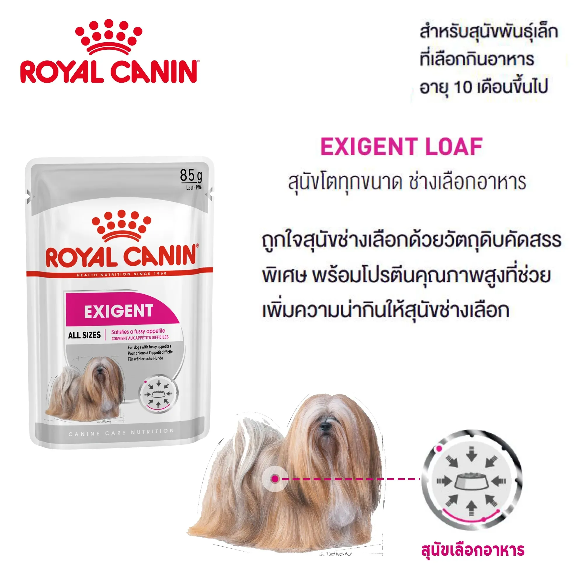 Royal Canin Pouch อาหารเปียกสุนัข สูตร Exigent Loaf (ทานยาก ช่างเลือก) 85 g