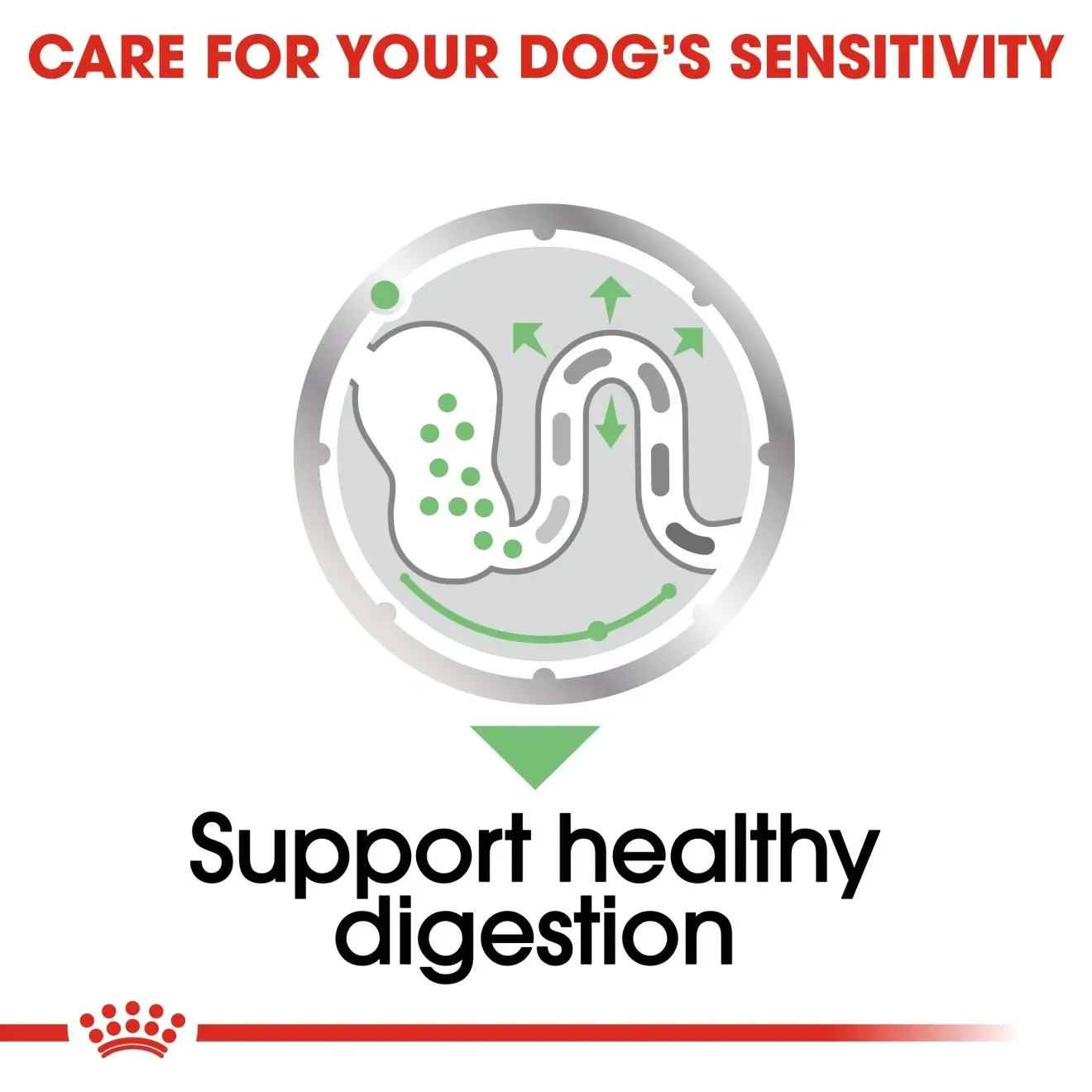 Royal Canin Pouch อาหารเปียกสุนัข สูตร Digestive Care (สูตรสุนัขดูแลระบบย่อยอาหาร) 85 g