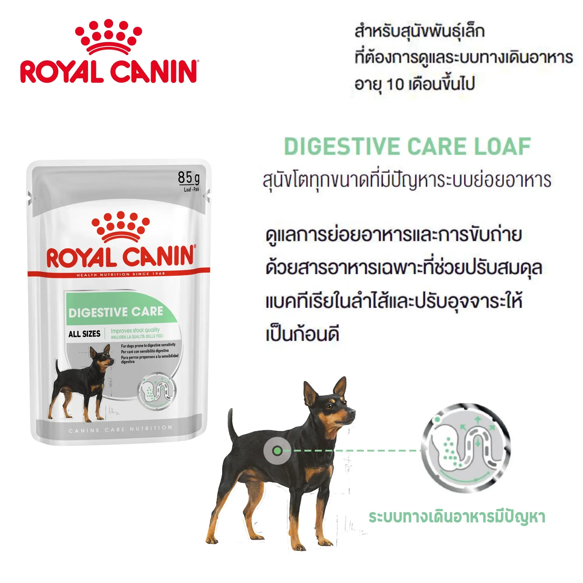 Royal Canin Pouch อาหารเปียกสุนัข สูตร Digestive Care (สูตรสุนัขดูแลระบบย่อยอาหาร) 85 g