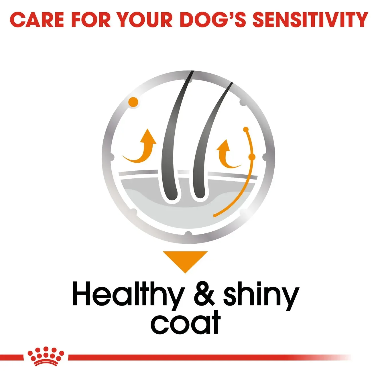 Royal Canin Pouch อาหารเปียกสุนัข สูตร Coat Care Loaf (สูตรดูแลสุขภาพเส้นขน ให้ขนสวยเงางาม) 85 g