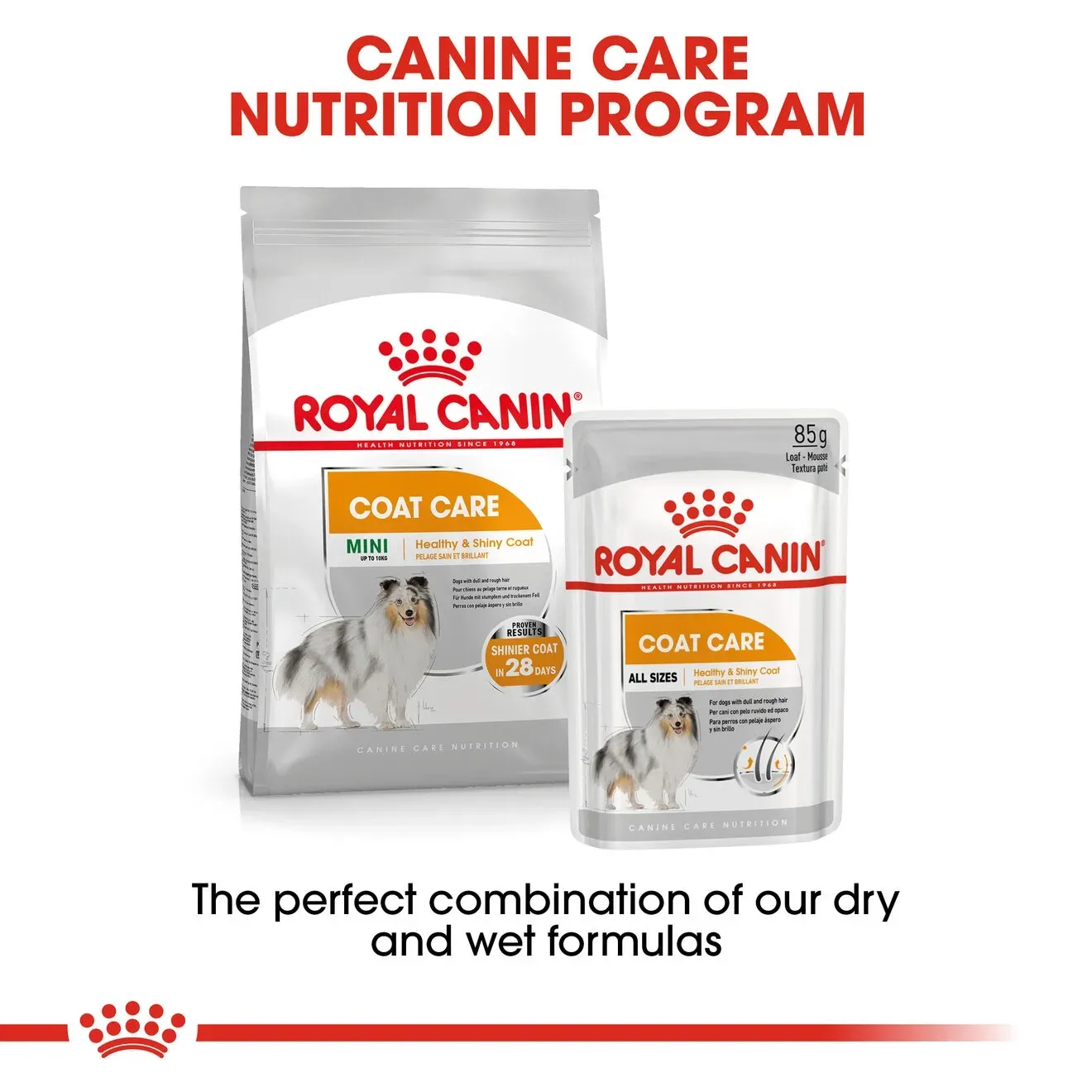 Royal Canin Pouch อาหารเปียกสุนัข สูตร Coat Care Loaf (สูตรดูแลสุขภาพเส้นขน ให้ขนสวยเงางาม) 85 g