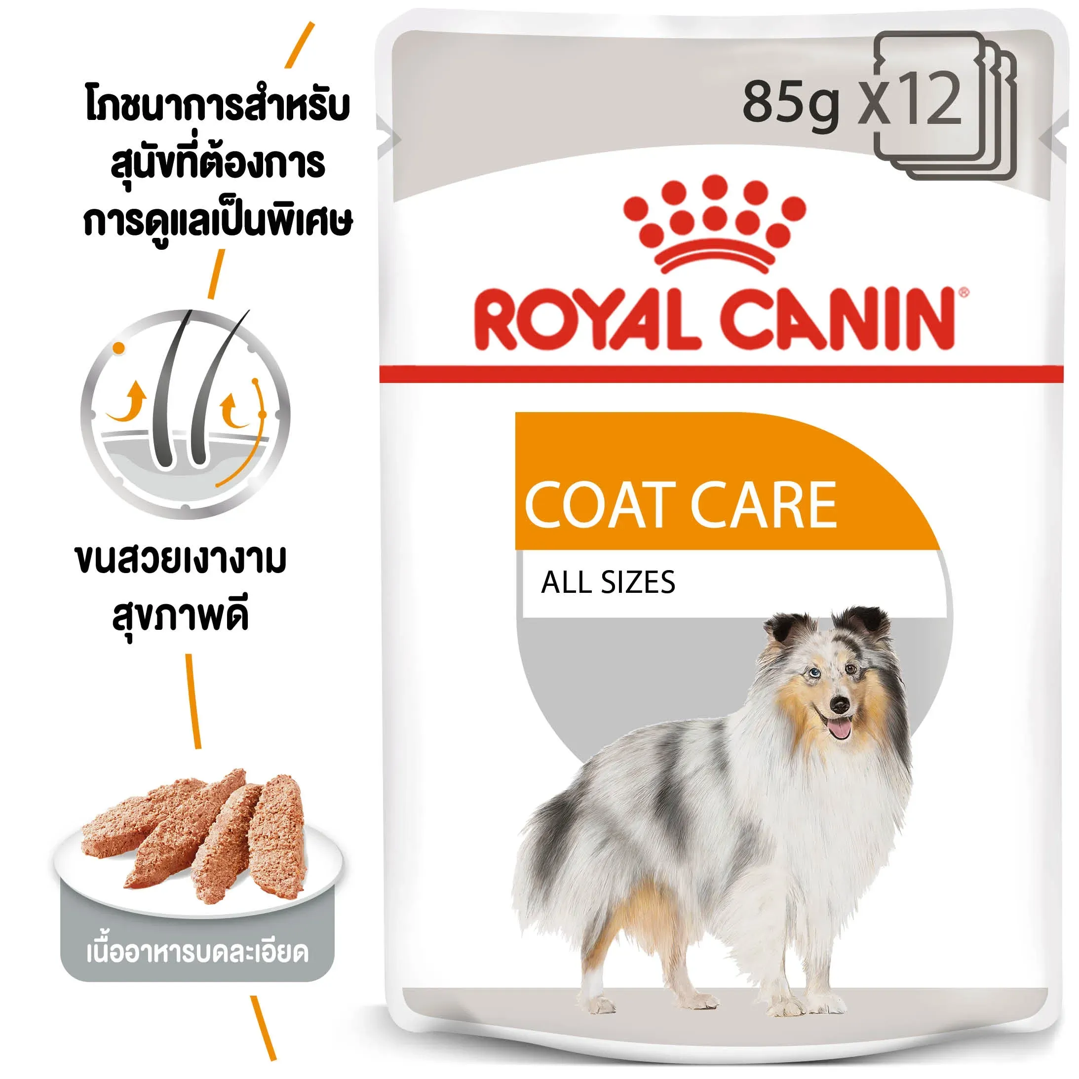 Royal Canin Pouch อาหารเปียกสุนัข สูตร Coat Care Loaf (สูตรดูแลสุขภาพเส้นขน ให้ขนสวยเงางาม) 85 g