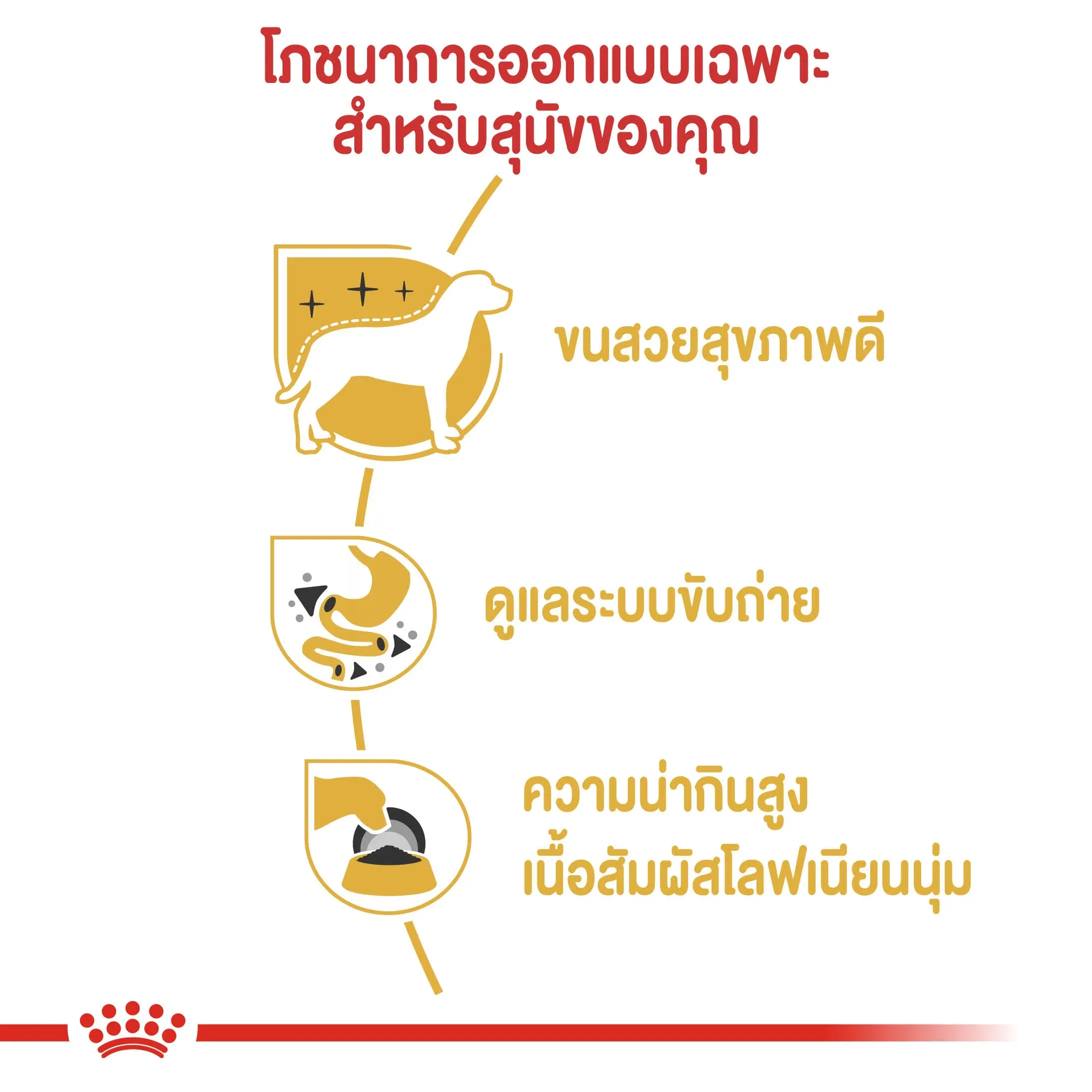 Royal Canin Pouch อาหารเปียกสุนัข สูตร Chihuahua Loaf สำหรับสุนัขโตพันธุ์ชิวาวา 85 g