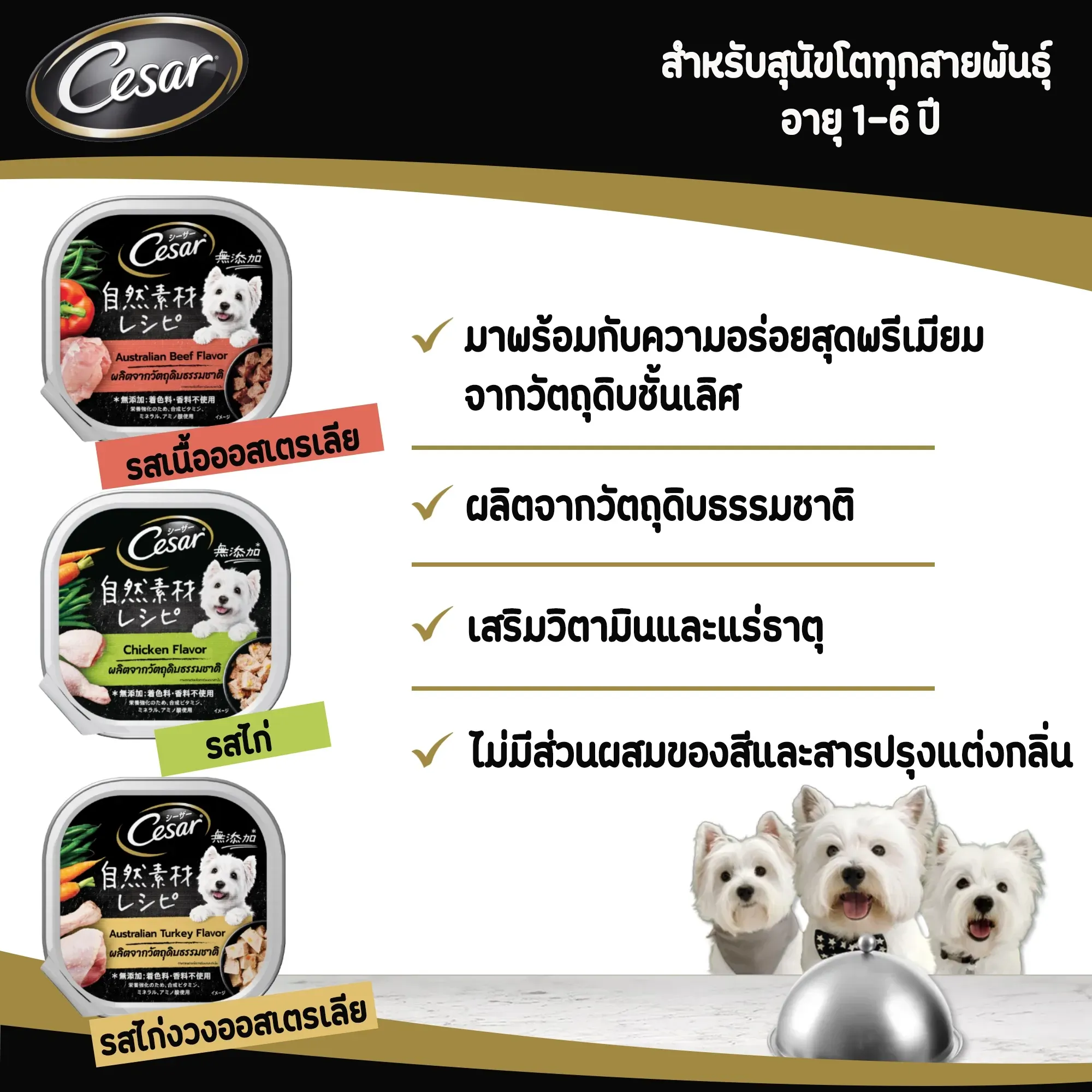Cesar Crafted Tray อาหารเปียกสุนัขแบบถาด 85 g