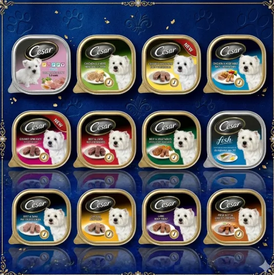 Cesar Tray อาหารเปียกสุนัขแบบถาด 100 g