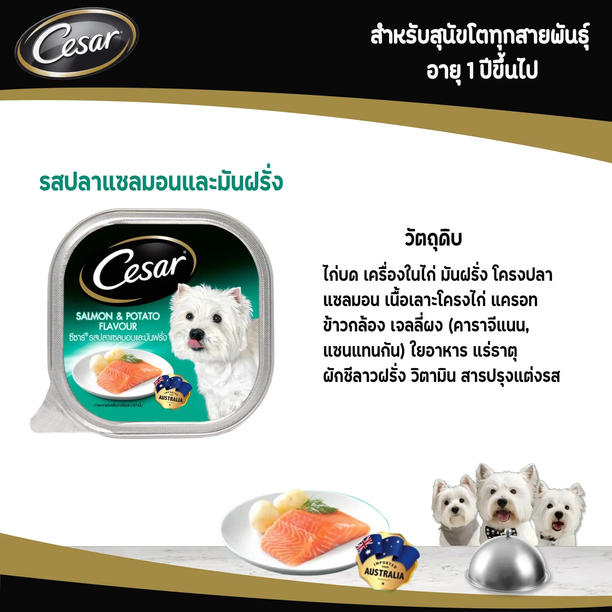 Cesar Tray อาหารเปียกสุนัขแบบถาด 100 g