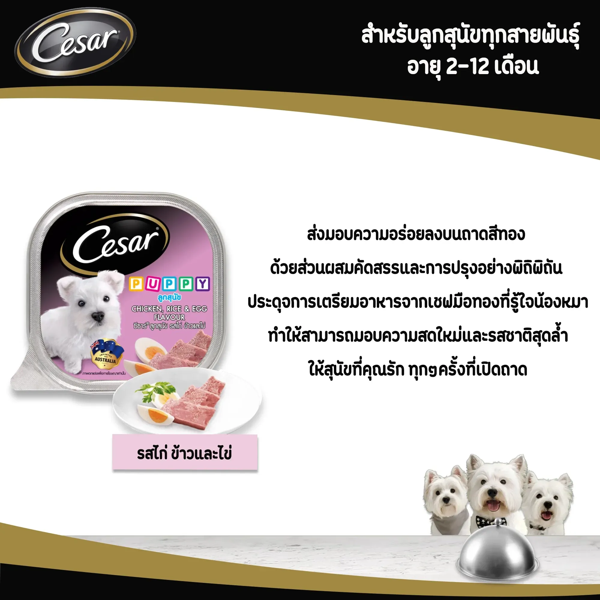Cesar Tray อาหารเปียกสุนัขแบบถาด 100 g