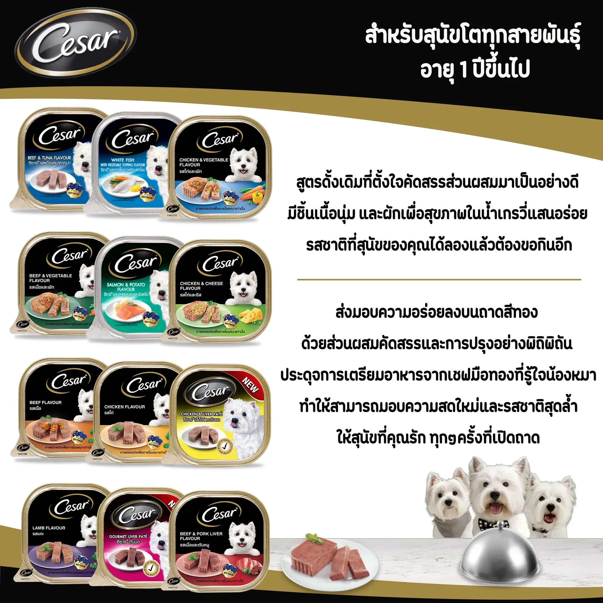 Cesar Tray อาหารเปียกสุนัขแบบถาด 100 g
