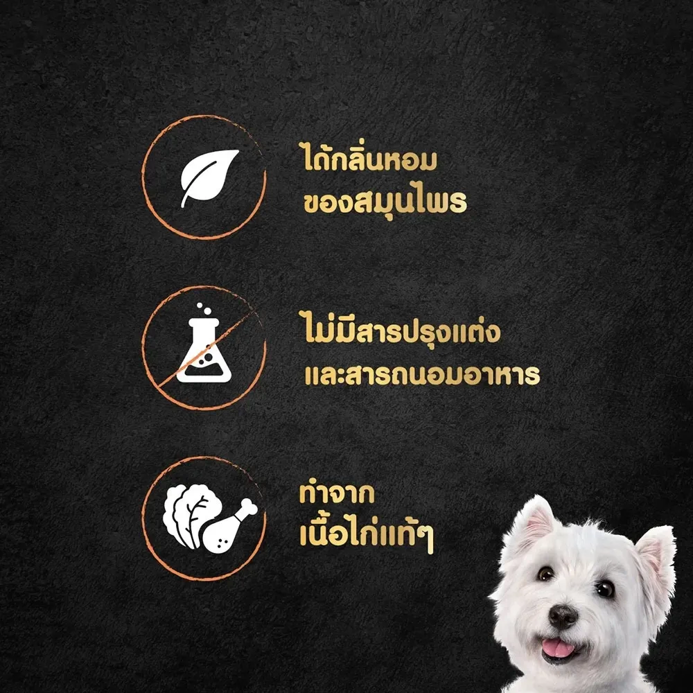 Cesar Crafted Pouch อาหารเปียกสุนัขซอง 60 g