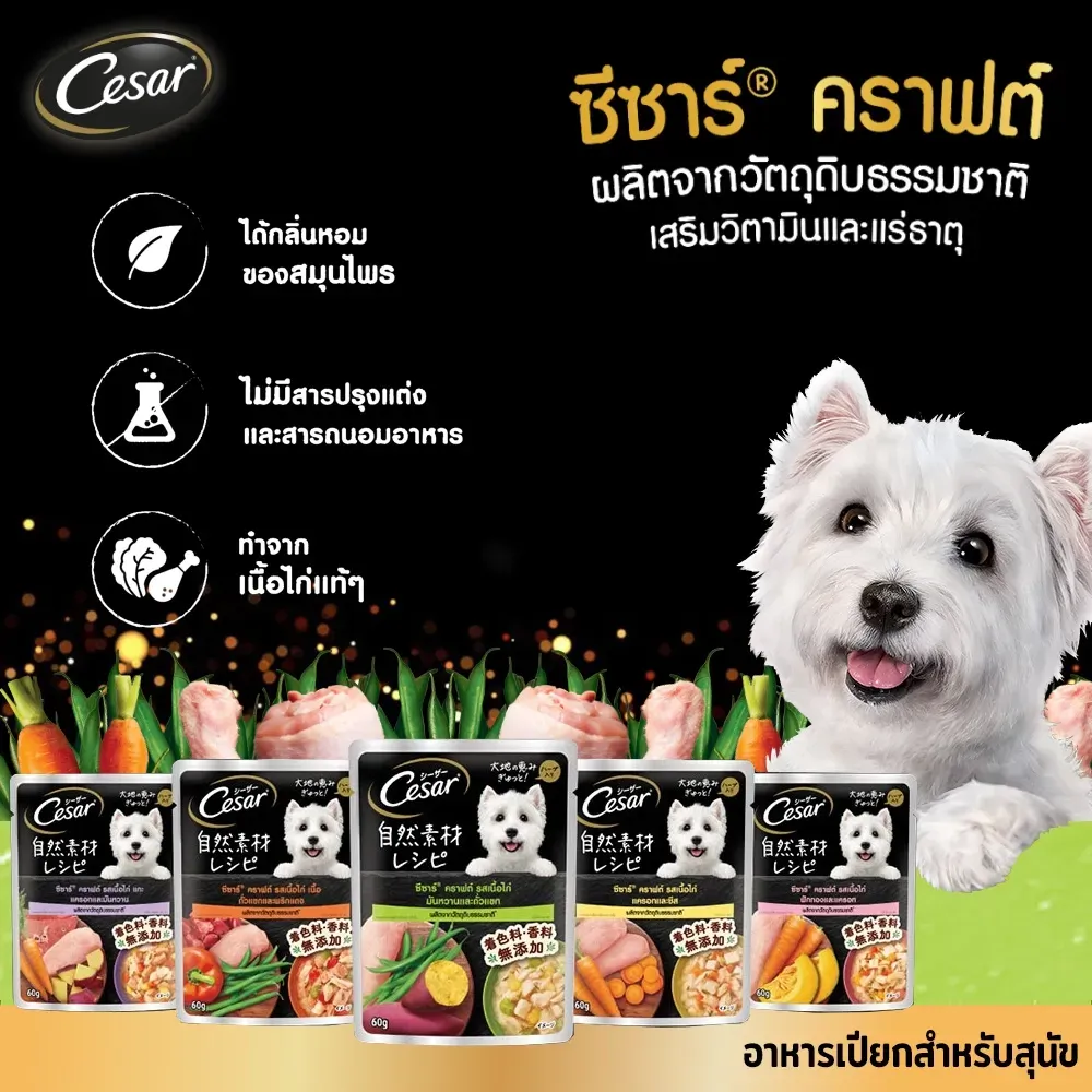 Cesar Crafted Pouch อาหารเปียกสุนัขซอง 60 g