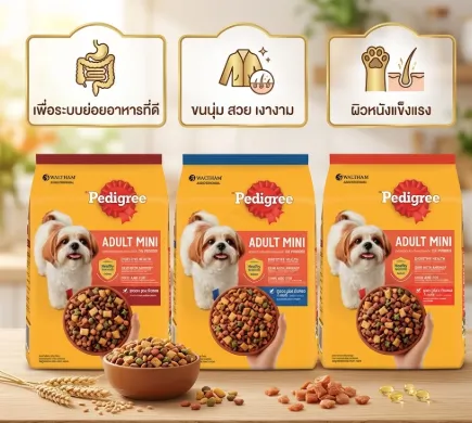 Pedigree อาหารเม็ดสำหรับสุนัขโตพันธุ์เล็ก