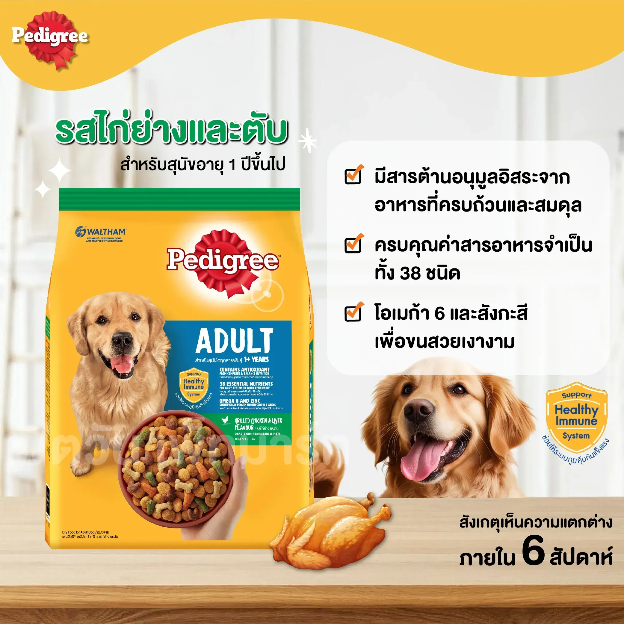 Pedigree อาหารเม็ดสำหรับสุนัขโตพันธุ์กลาง-ใหญ่