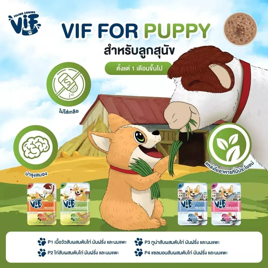 Vif Pouch อาหารเปียกสุนัขซอง 75g