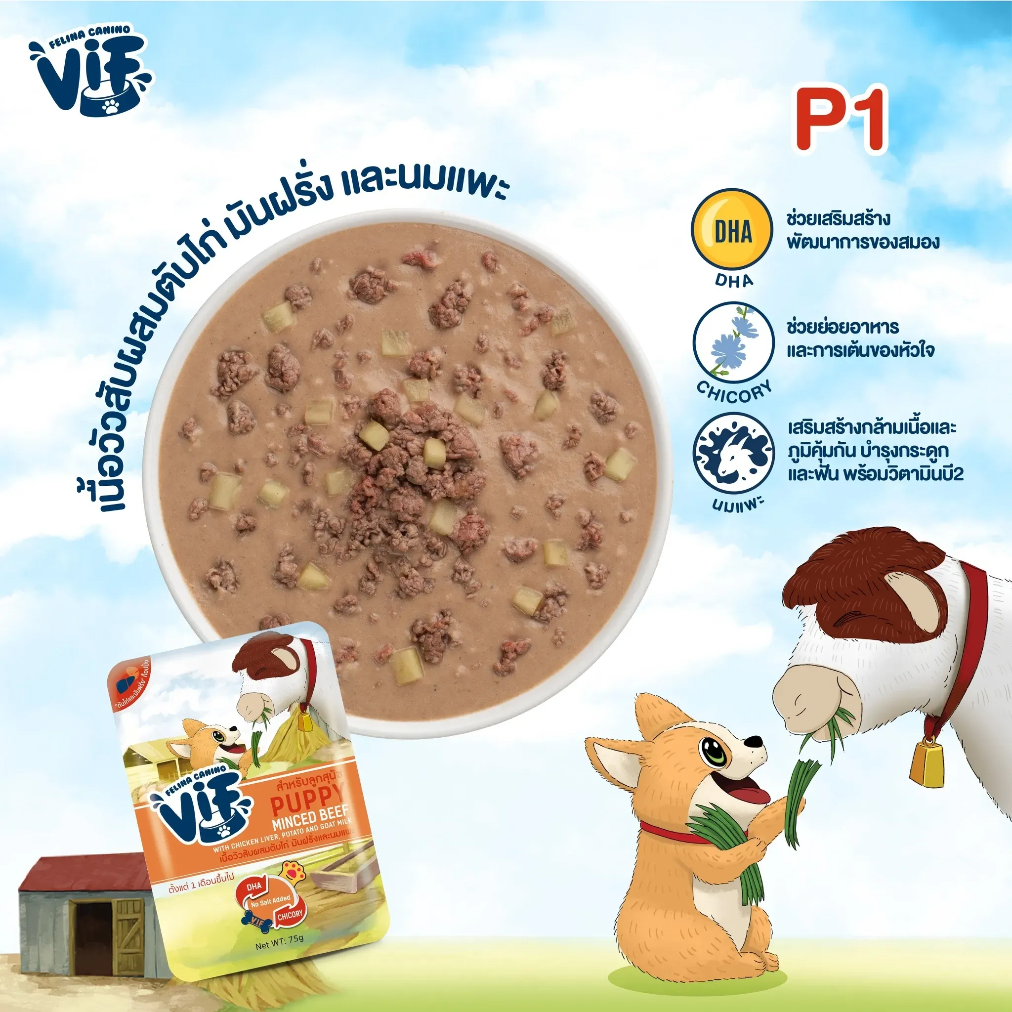Vif Pouch อาหารเปียกสุนัขซอง 75g