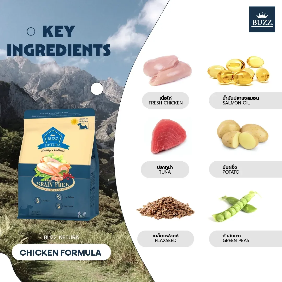 Buzz Netura Holistic อาหารเม็ดสุนัขโต สูตรเนื้อไก่