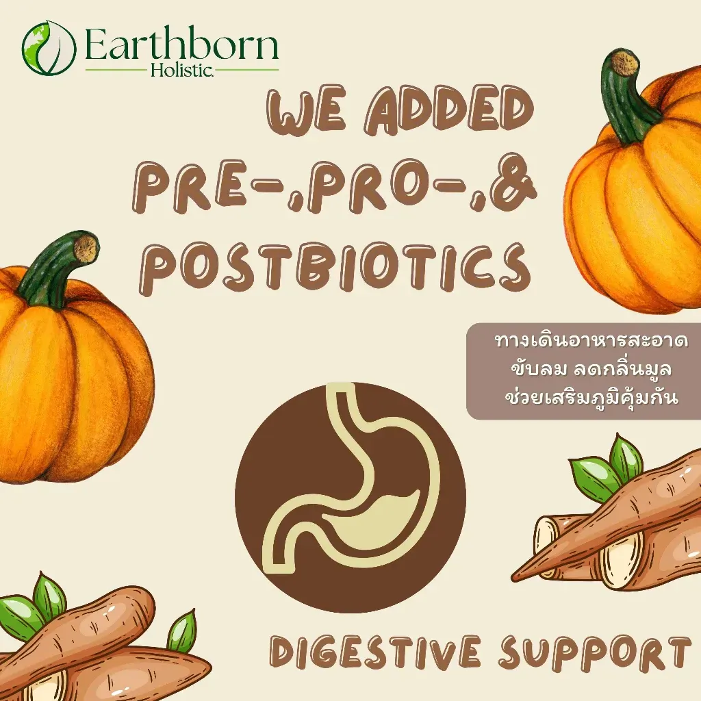 Earthborn Primitive Natural Grain Free สูตรไก่งวง