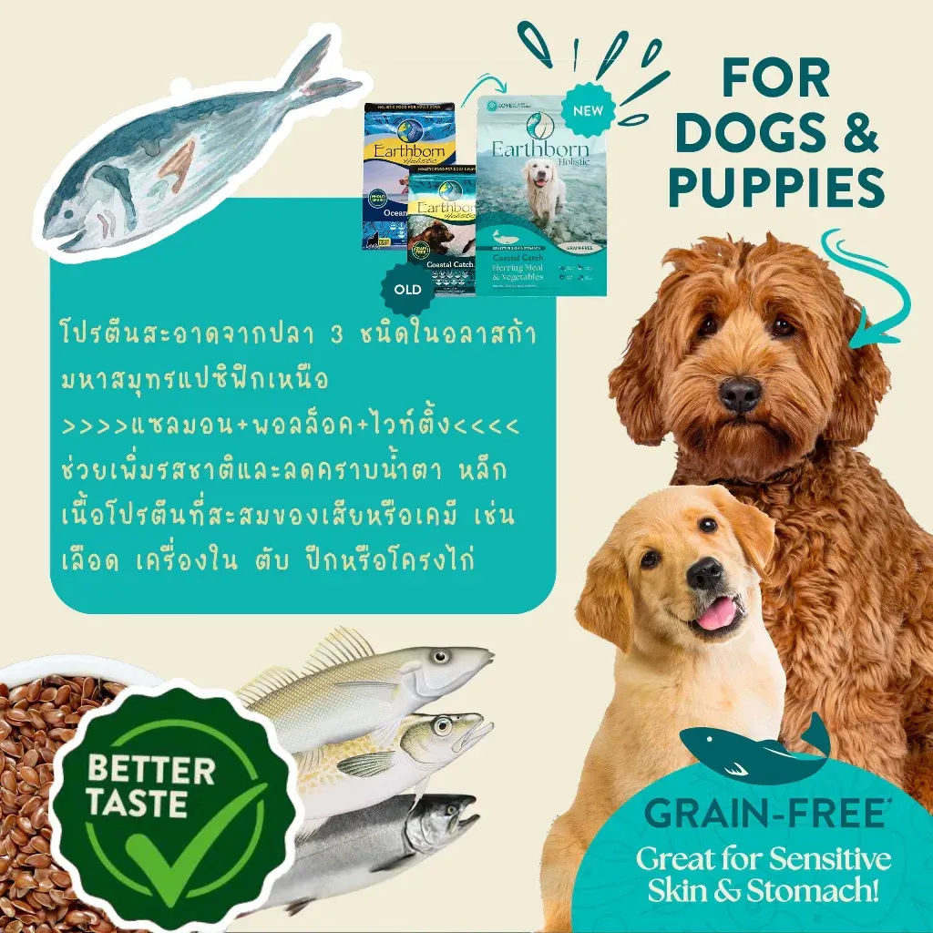 Earthborn Coastal Catch Grain Free สูตรปลาทะเล สำหรับผิวหนัง & ระบบย่อยอาหารบอบบาง