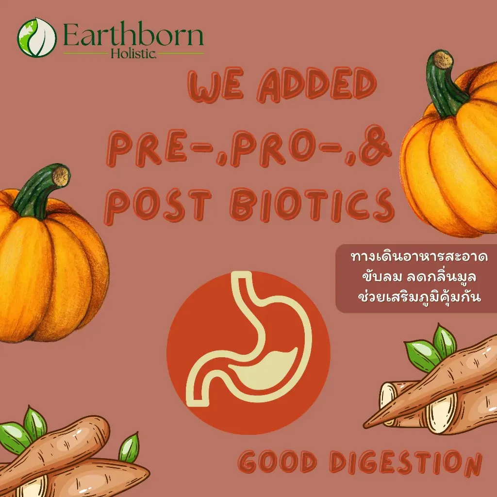 Earthborn Weight Control Grain Free สูตรควบคุมน้ำหนัก ไขมันต่ำ