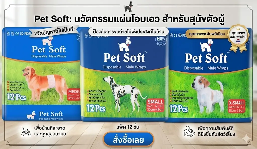 Pet Soft โอบิ 3 สี (Male Wrap) (12 ชิ้น)