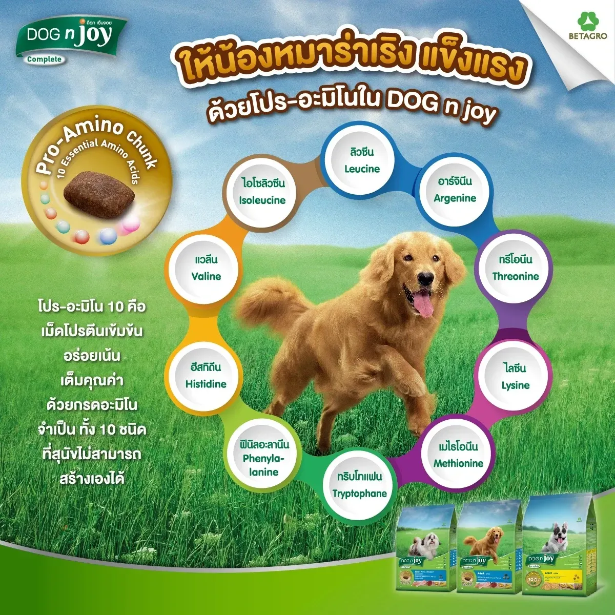 Dog N Joy อาหารสำหรับสุนัขโตพันธุ์กลาง-ใหญ่