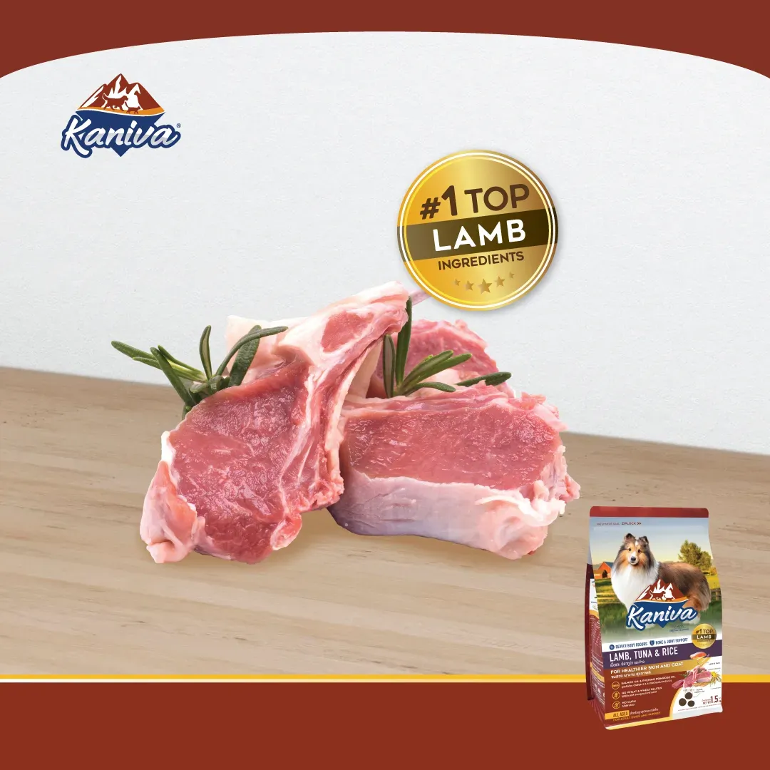 Kaniva Lamb & Tuna Dog Food สูตรอาหารสุนัข เนื้อแกะ ปลาทูน่า และข้าว