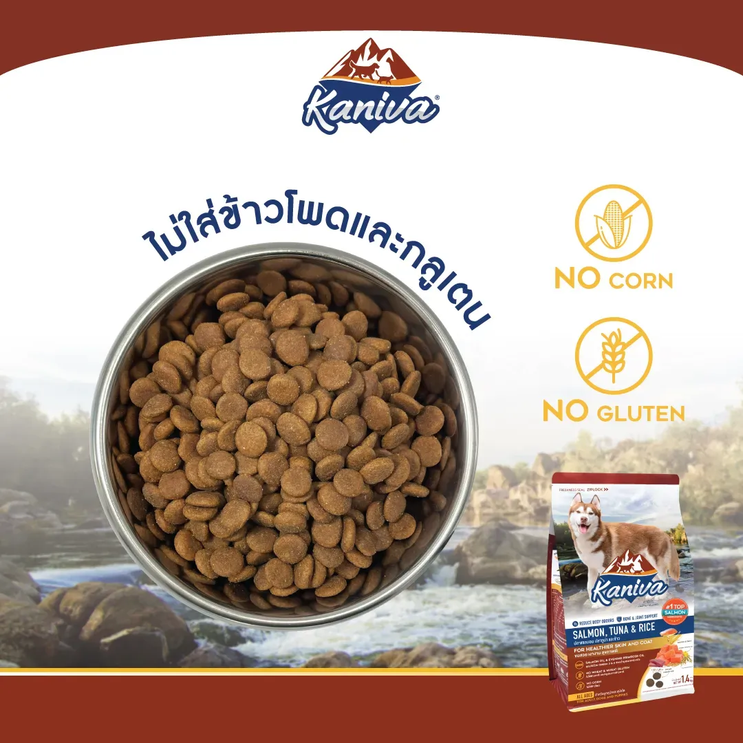 Kaniva Salmon & Tuna Dog Food สูตรอาหารสุนัข ปลาแซลมอน ทูน่า และข้าว