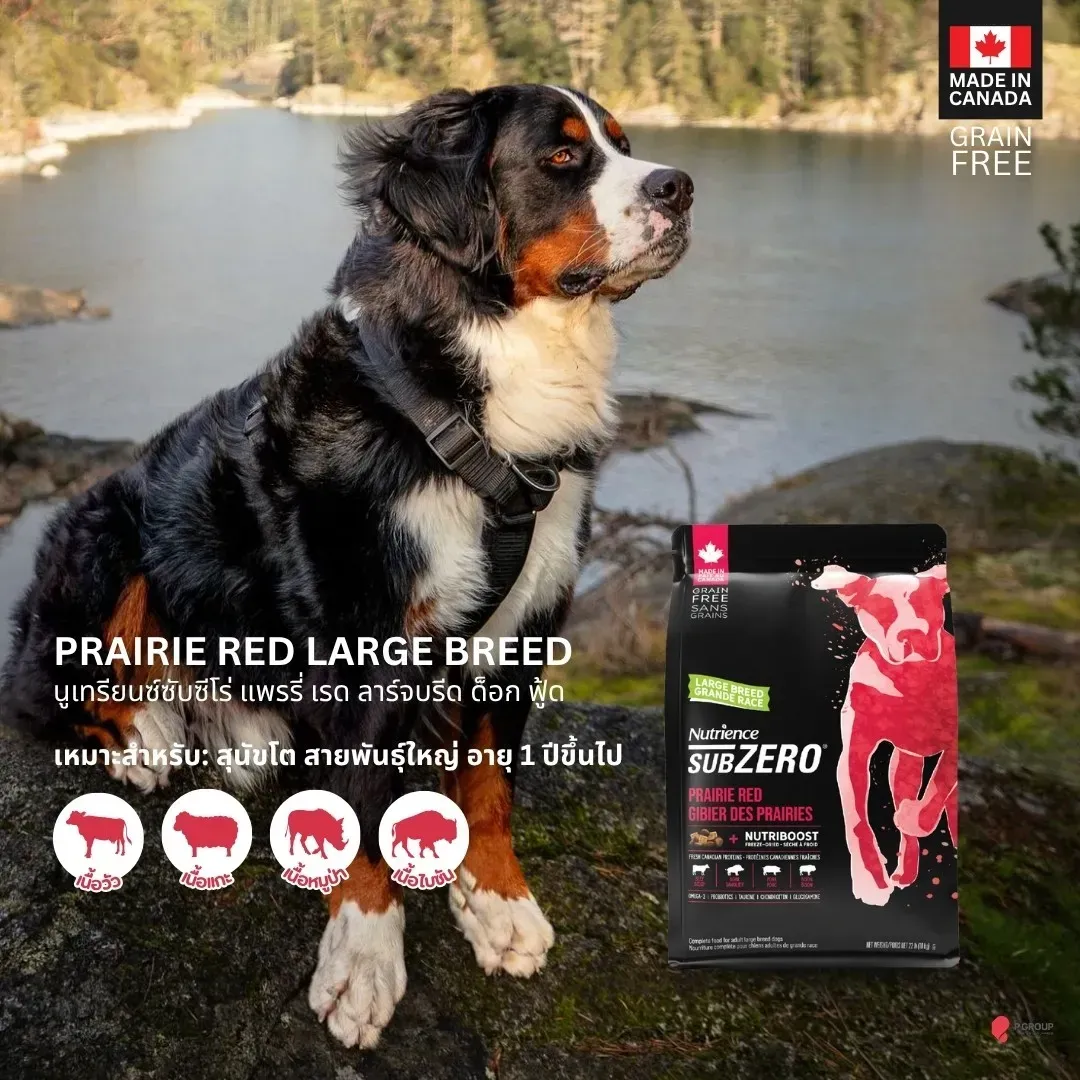 Nutrience Subzero Prairie Red อาหารสุนัขโต Grain-Free ผสมฟรีซดราย (สูตรเนื้อแดงรวม วัว แกะ หมูป่า)