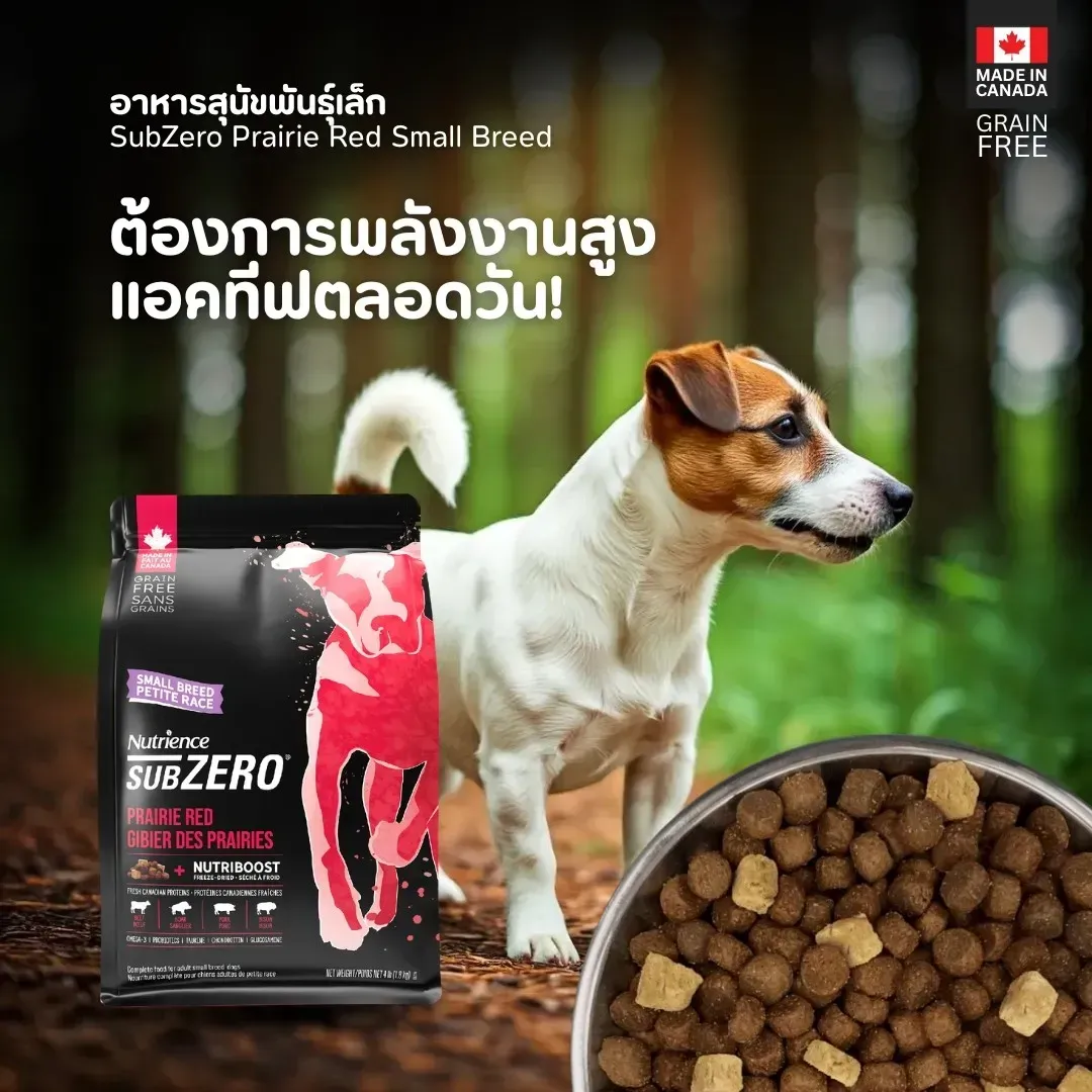 Nutrience Subzero Prairie Red อาหารสุนัขโตพันธุ์เล็ก Grain-Free ผสมฟรีซดราย (สูตรเนื้อแดงรวม วัว แกะ หมูป่า)