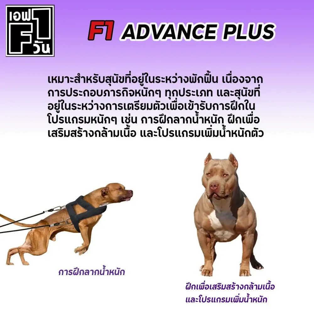 F1 อาหารสุนัข รุ่น แอดวานซ์ (ม่วง) 15Kg