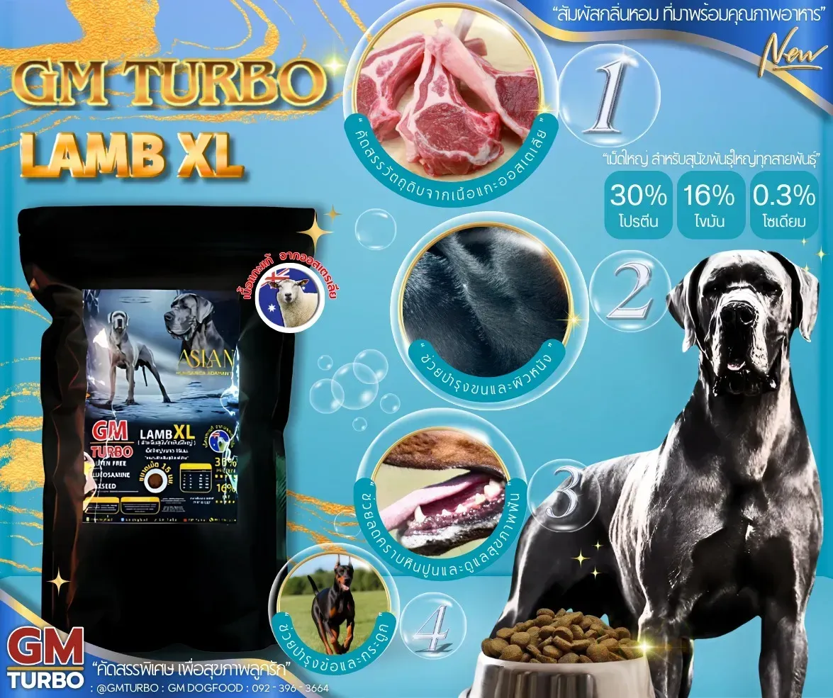 Gm Turbo Lambto Lamb อาหารสุนัข ทุกช่วงวัย